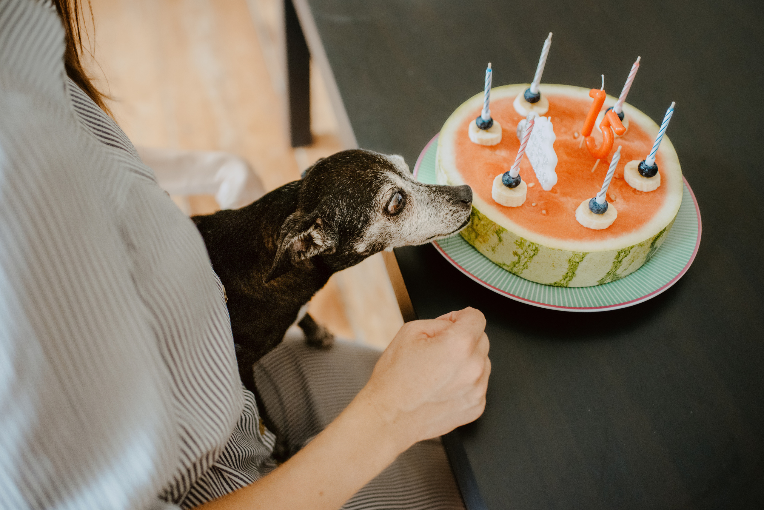 Rhiannon and Sasha. Lifestyle, wedding and family photographer