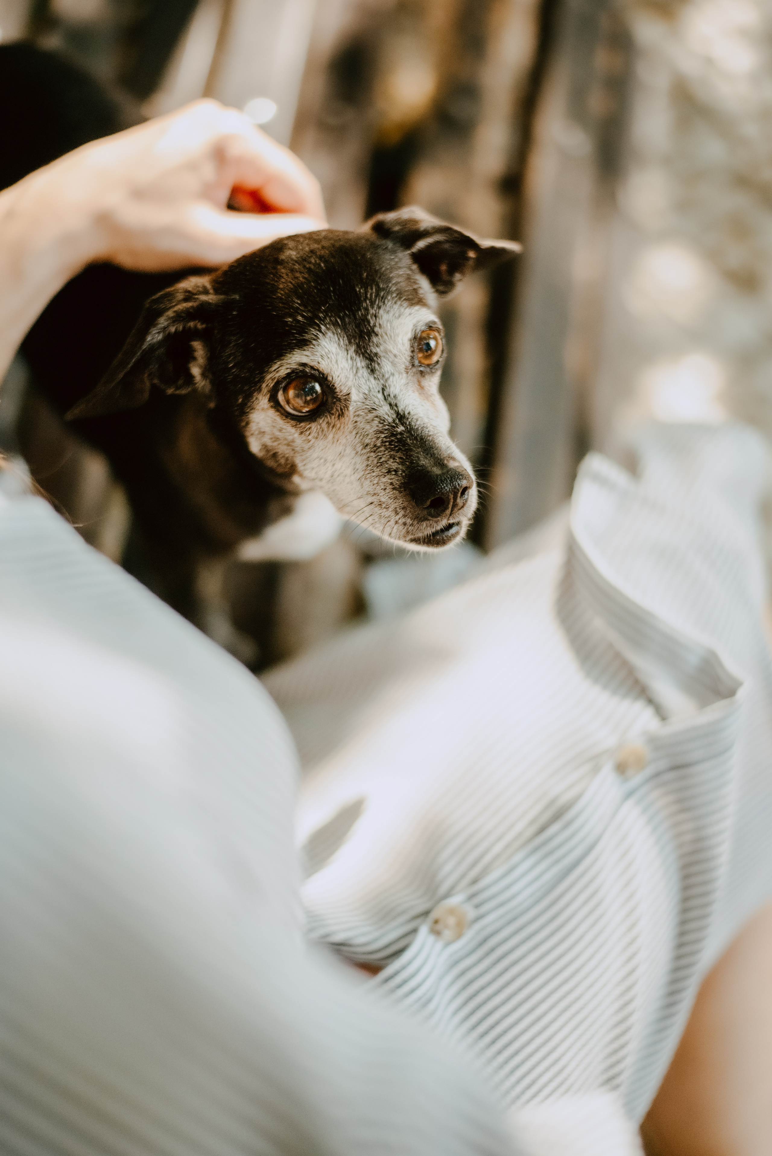 Rhiannon and Sasha. Lifestyle, wedding and family photographer