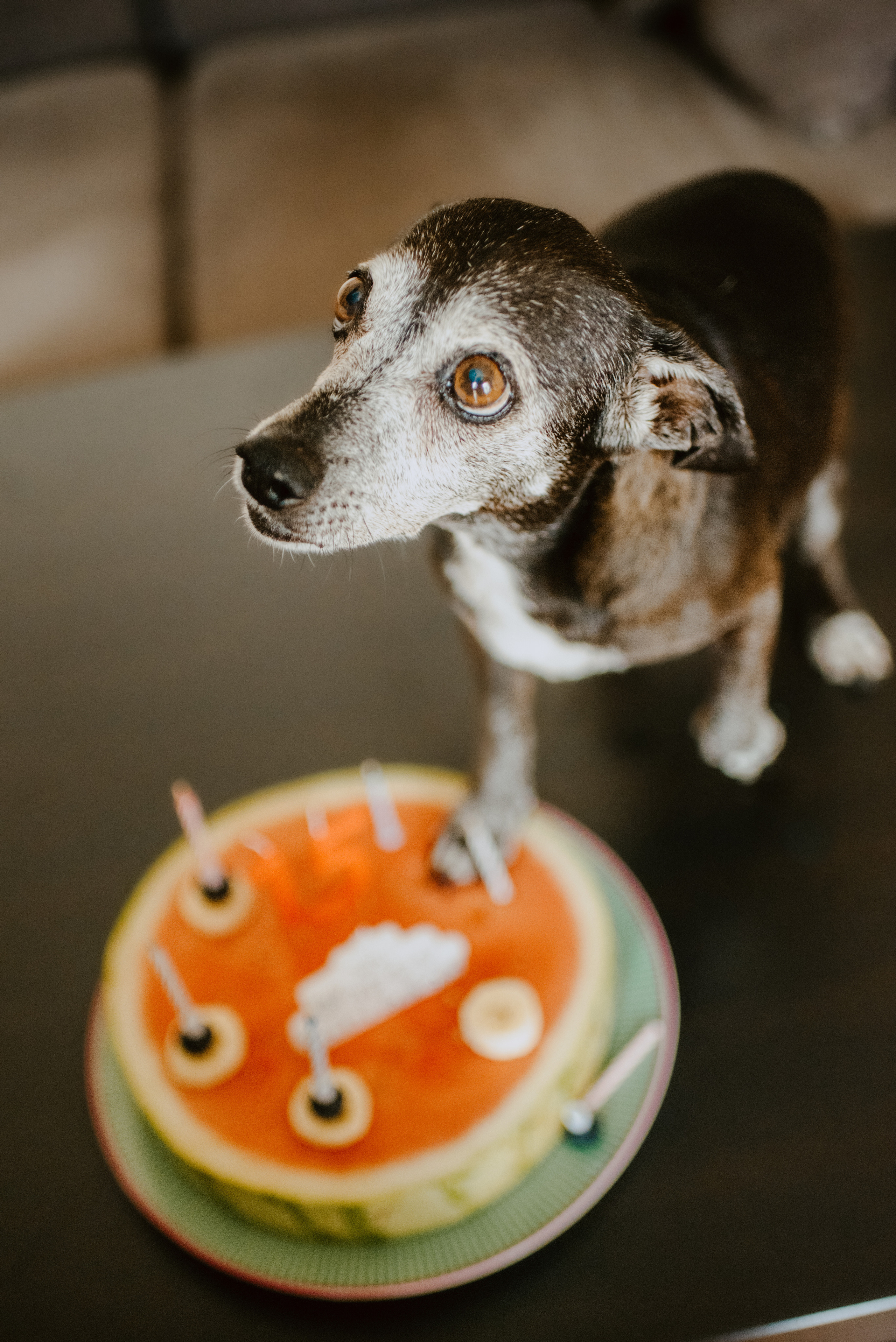 Rhiannon and Sasha. Lifestyle, wedding and family photographer