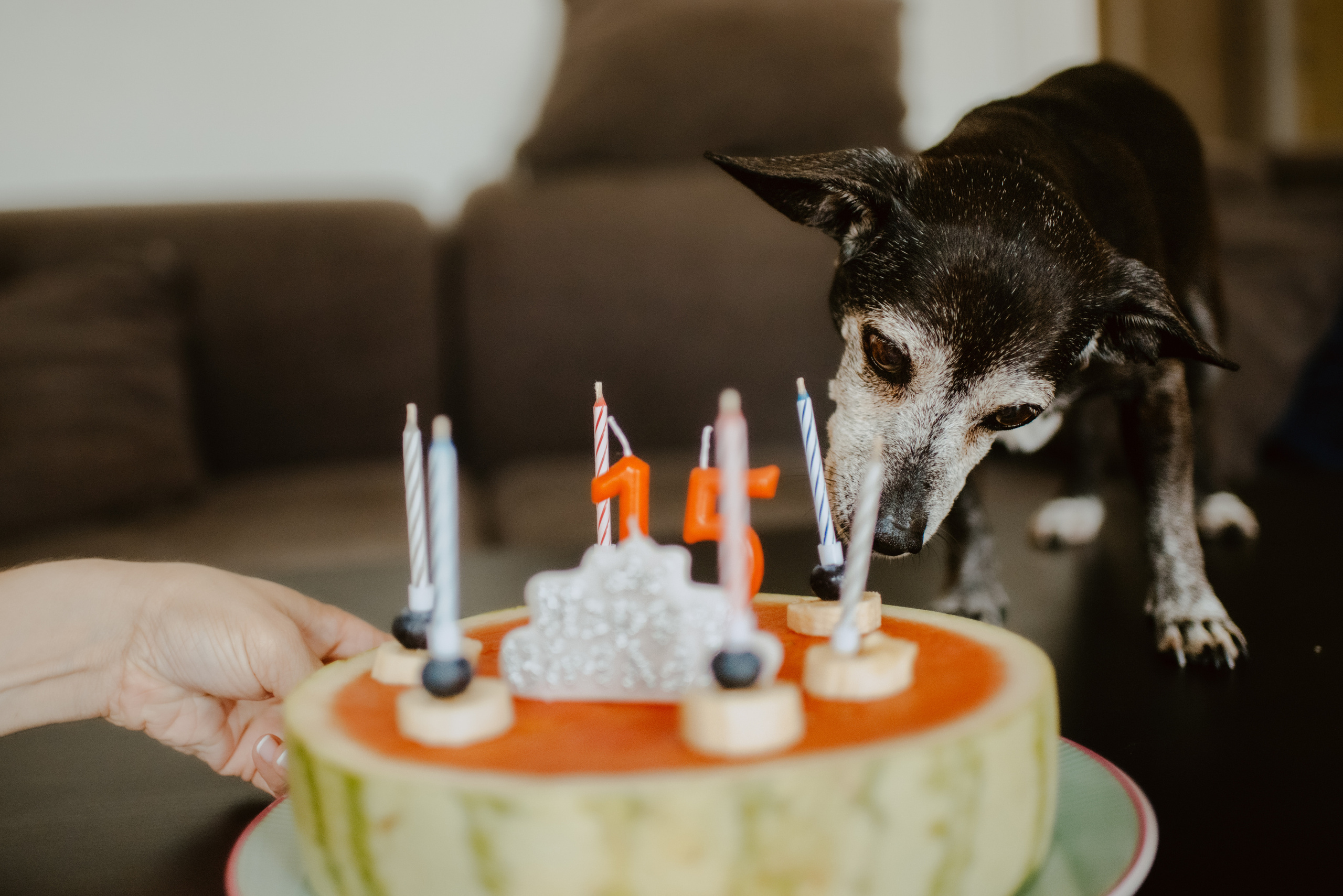 Rhiannon and Sasha. Lifestyle, wedding and family photographer