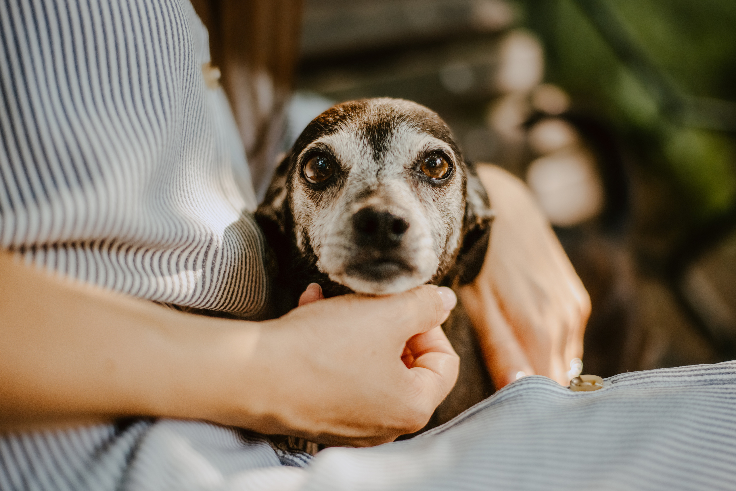 Rhiannon and Sasha. Lifestyle, wedding and family photographer