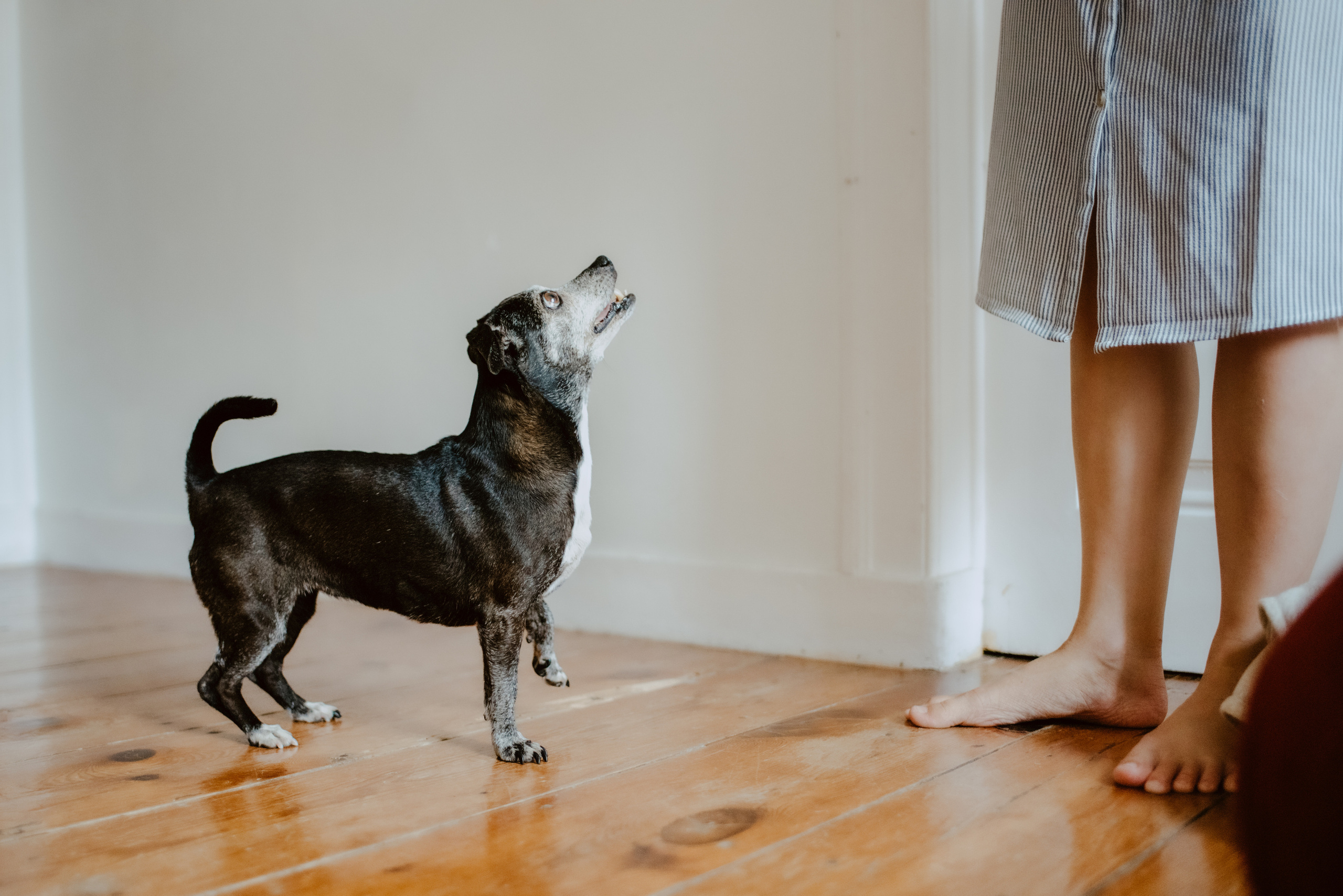 Rhiannon and Sasha. Lifestyle, wedding and family photographer