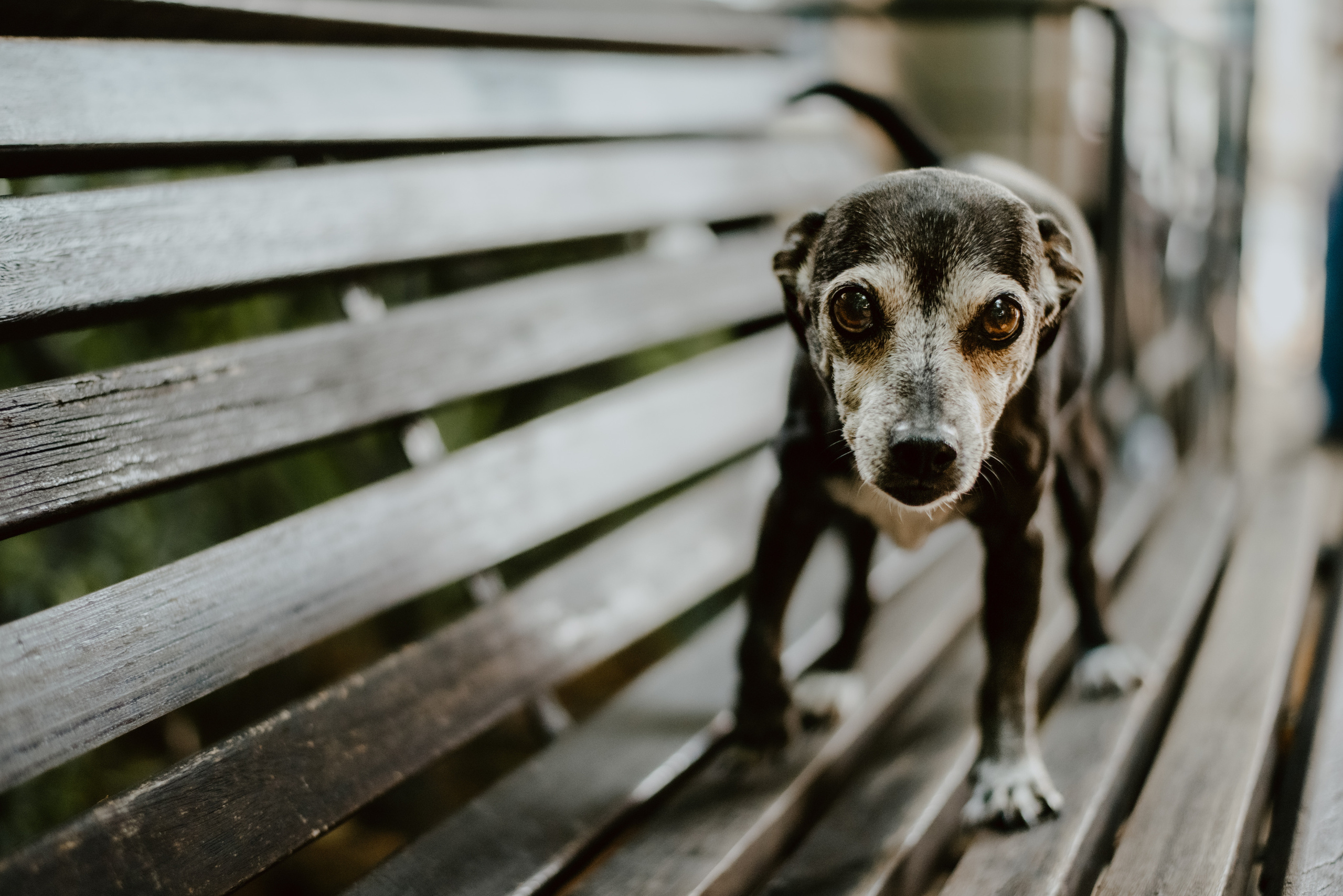 Rhiannon and Sasha. Lifestyle, wedding and family photographer