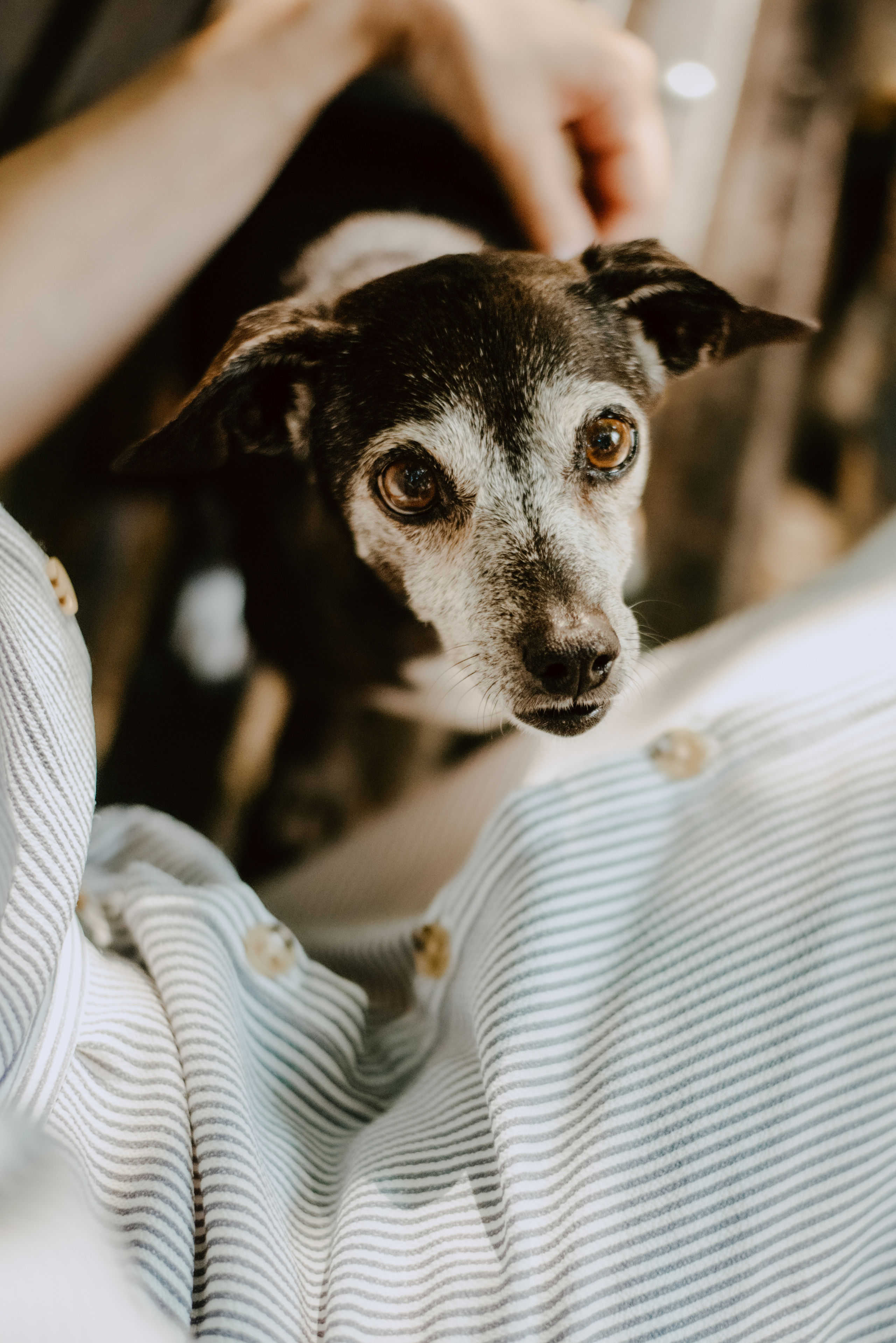 Rhiannon and Sasha. Lifestyle, wedding and family photographer