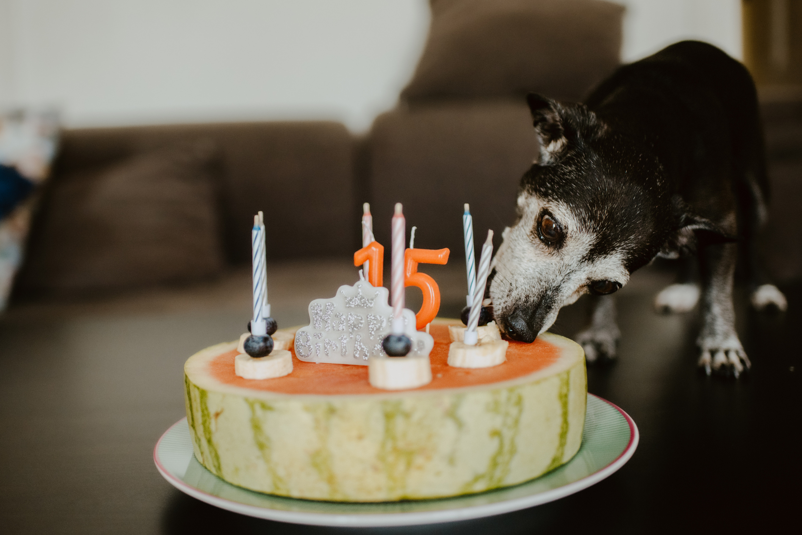 Rhiannon and Sasha. Lifestyle, wedding and family photographer