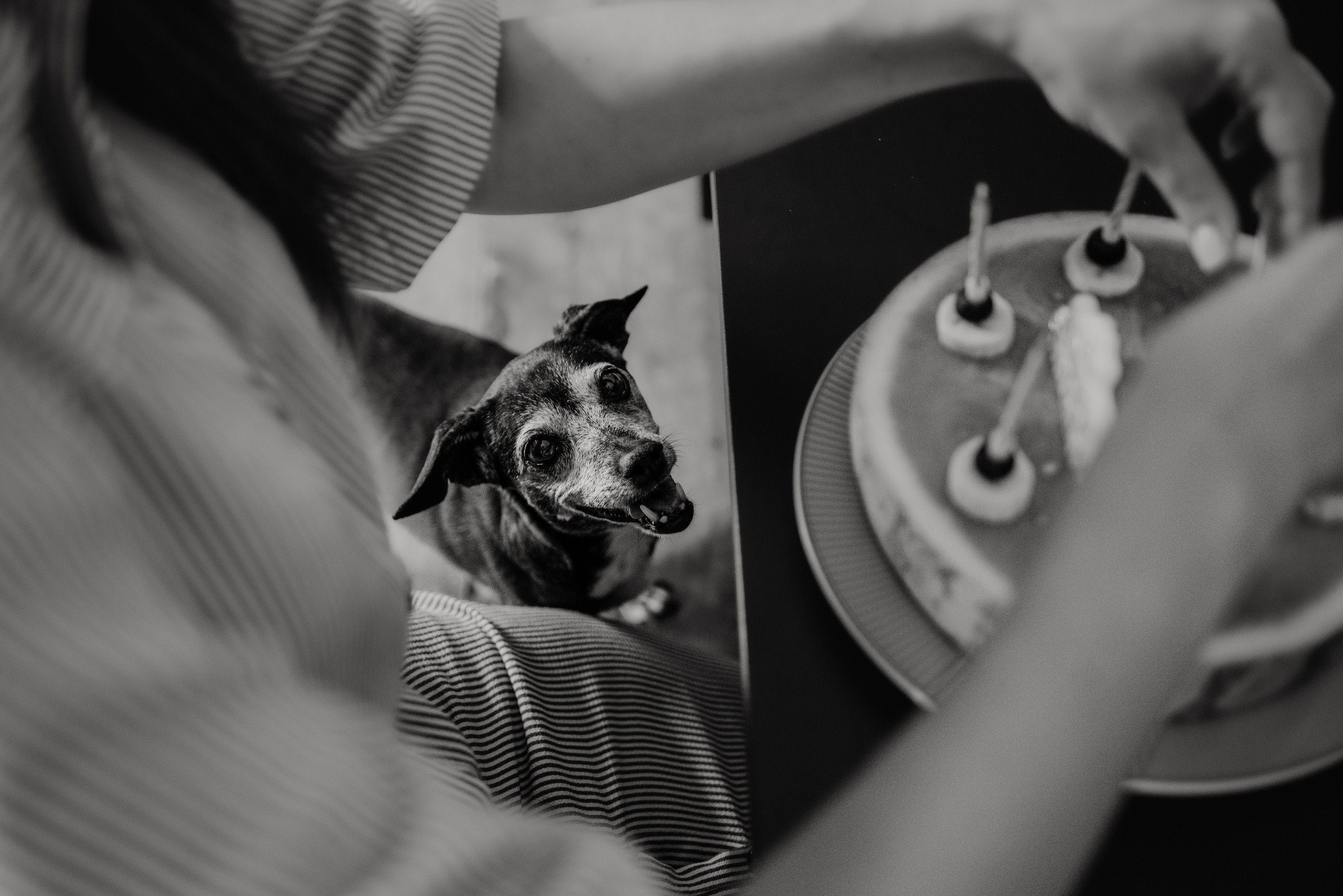 Rhiannon and Sasha. Lifestyle, wedding and family photographer