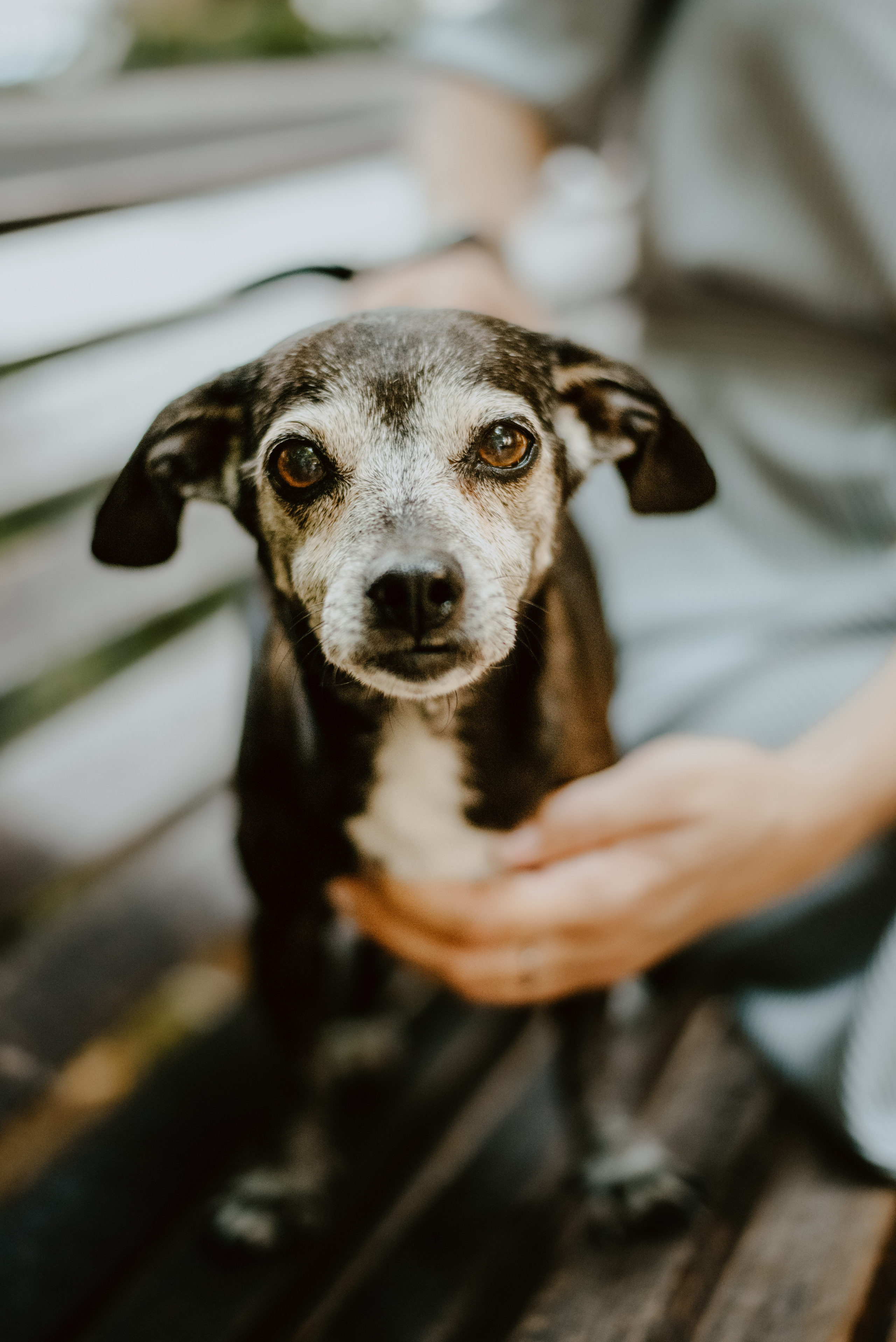 Rhiannon and Sasha. Lifestyle, wedding and family photographer
