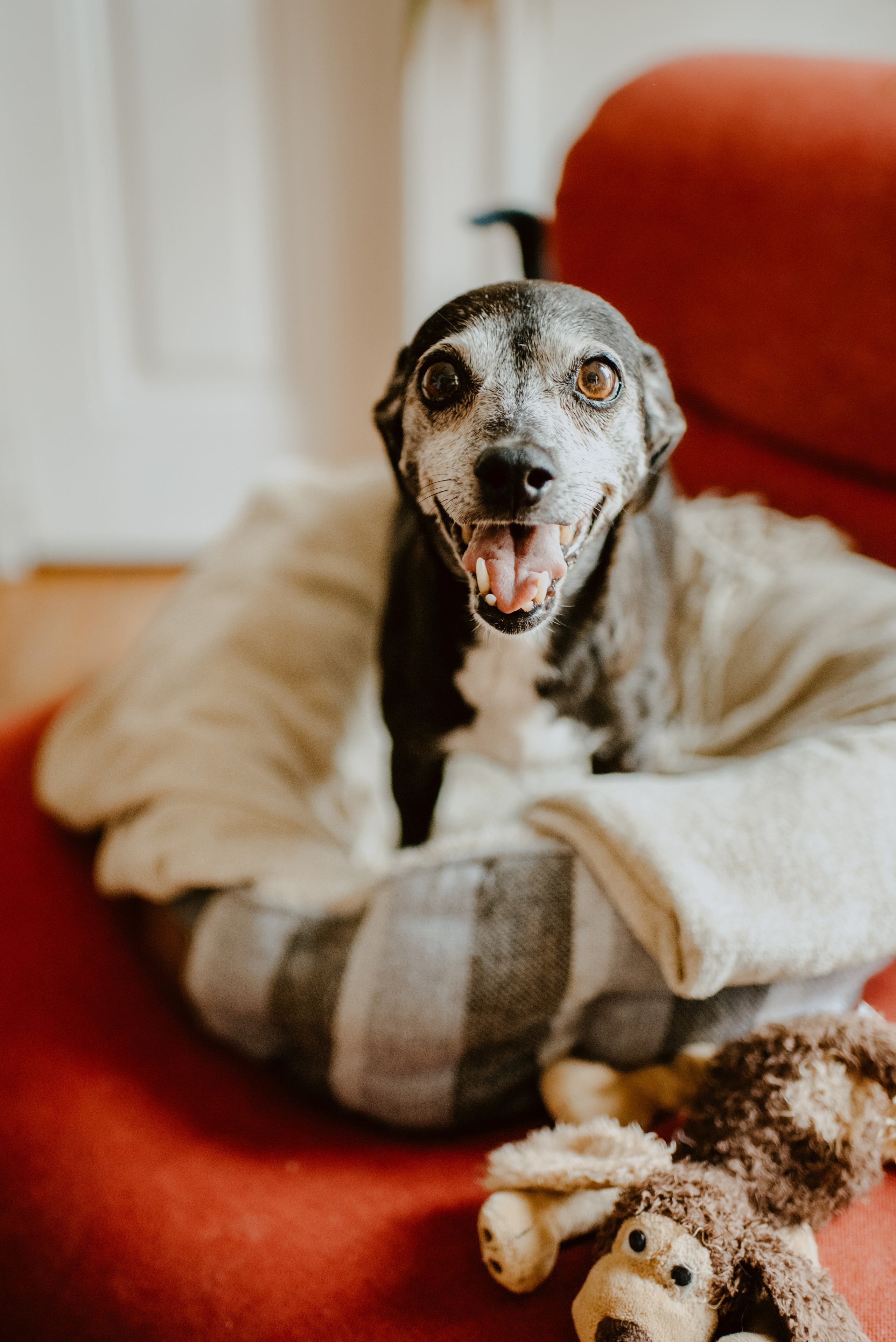 Rhiannon and Sasha. Lifestyle, wedding and family photographer