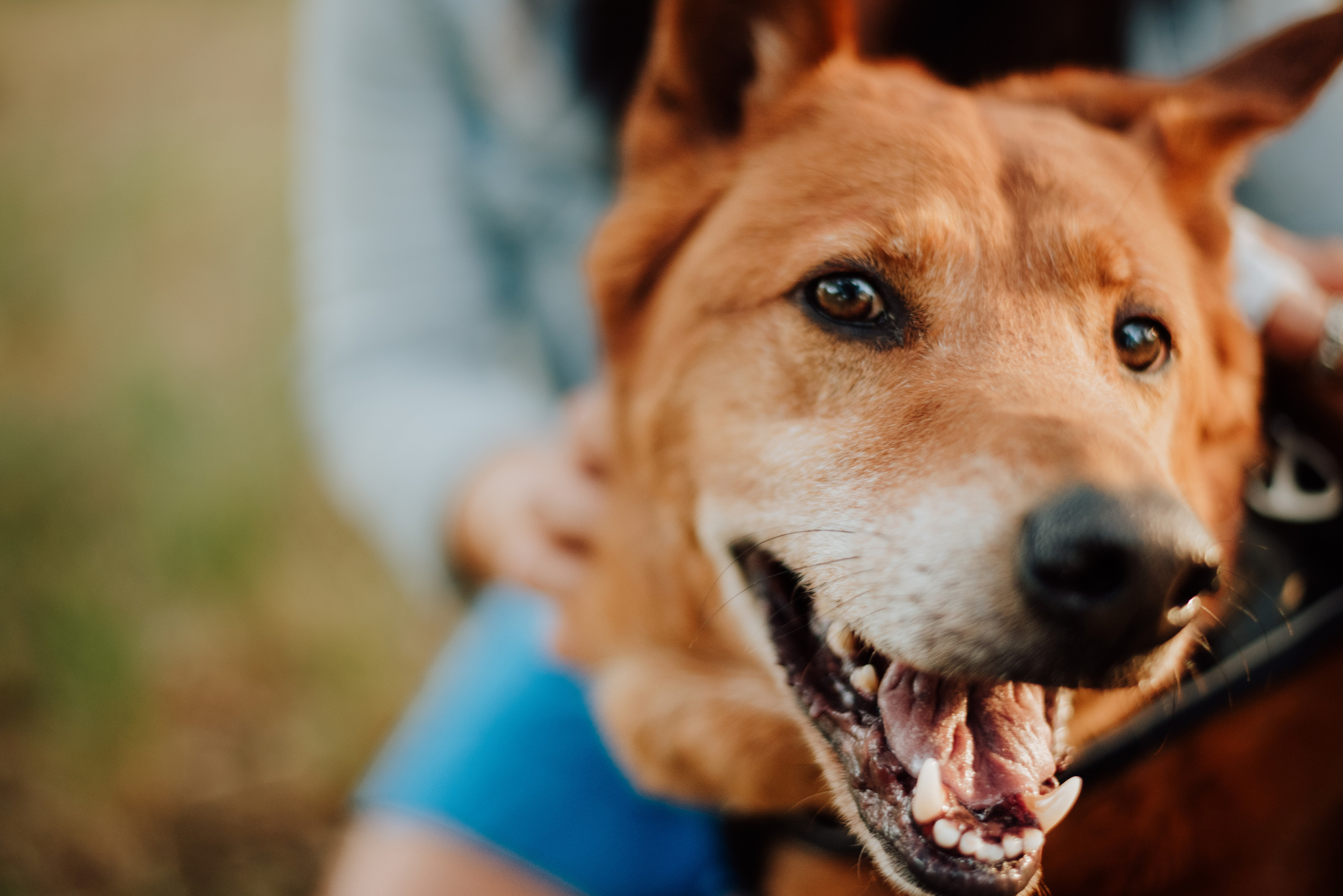 Nali and Pedro. Lifestyle, wedding and family photographer