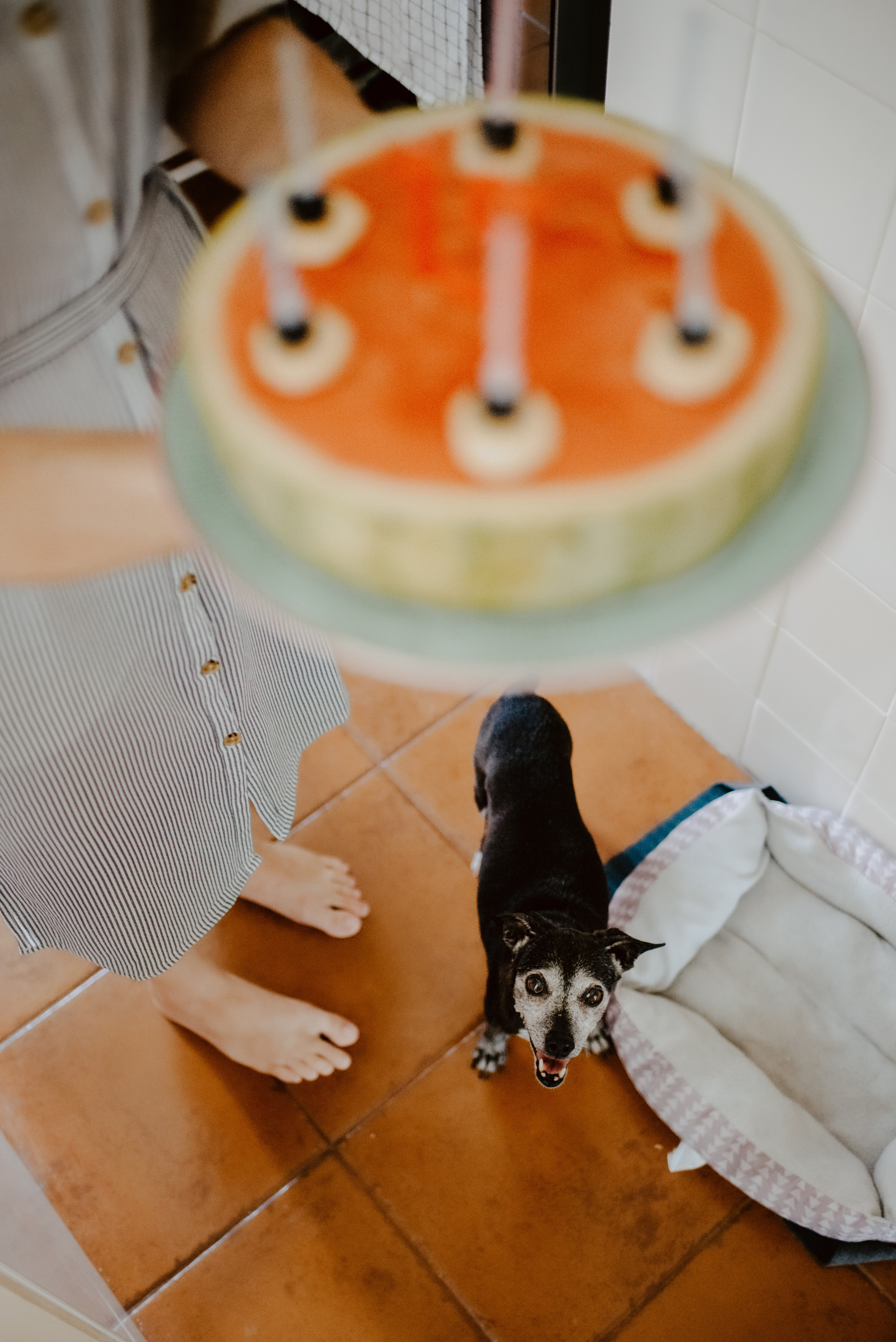 Rhiannon and Sasha. Lifestyle, wedding and family photographer