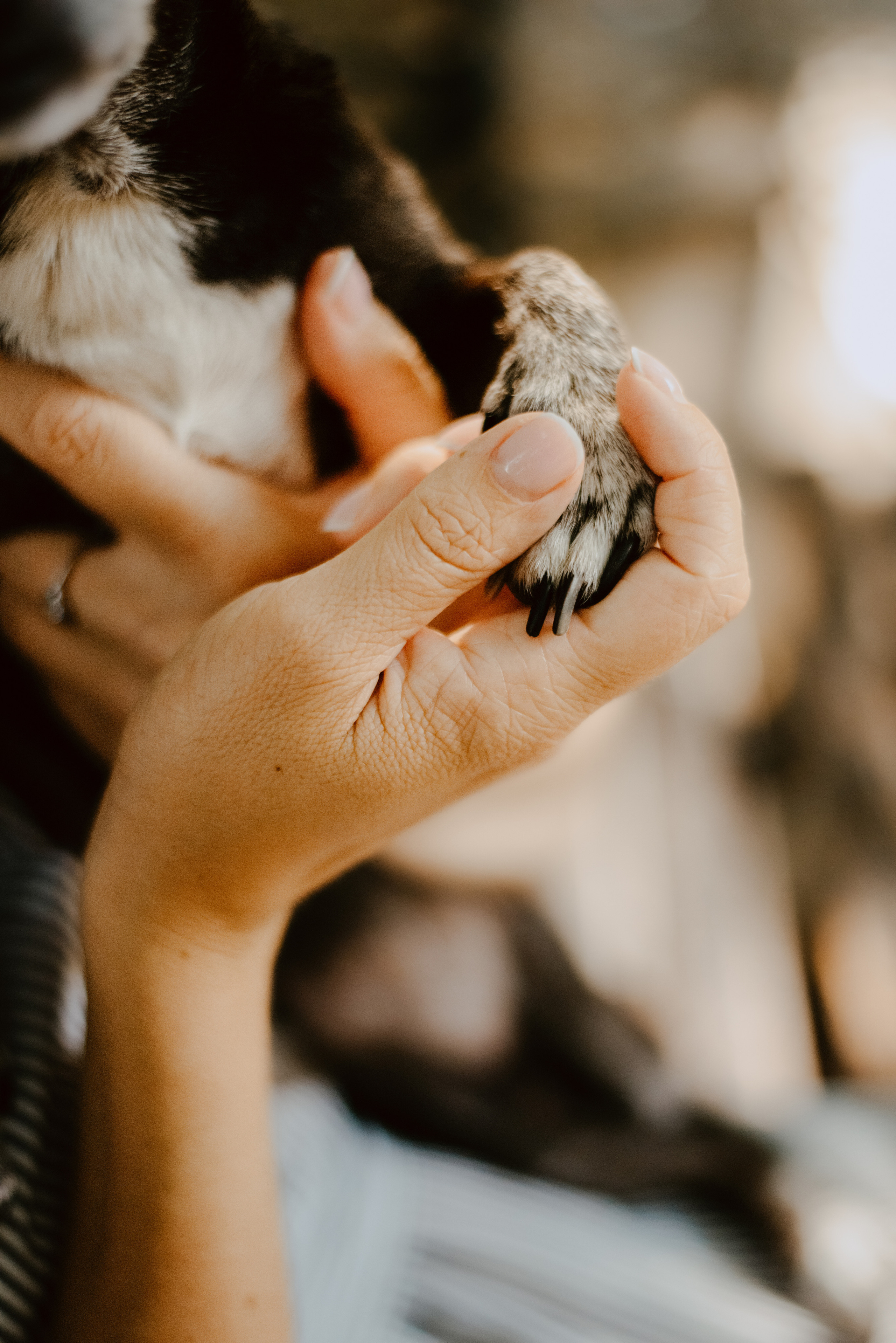 Rhiannon and Sasha. Lifestyle, wedding and family photographer