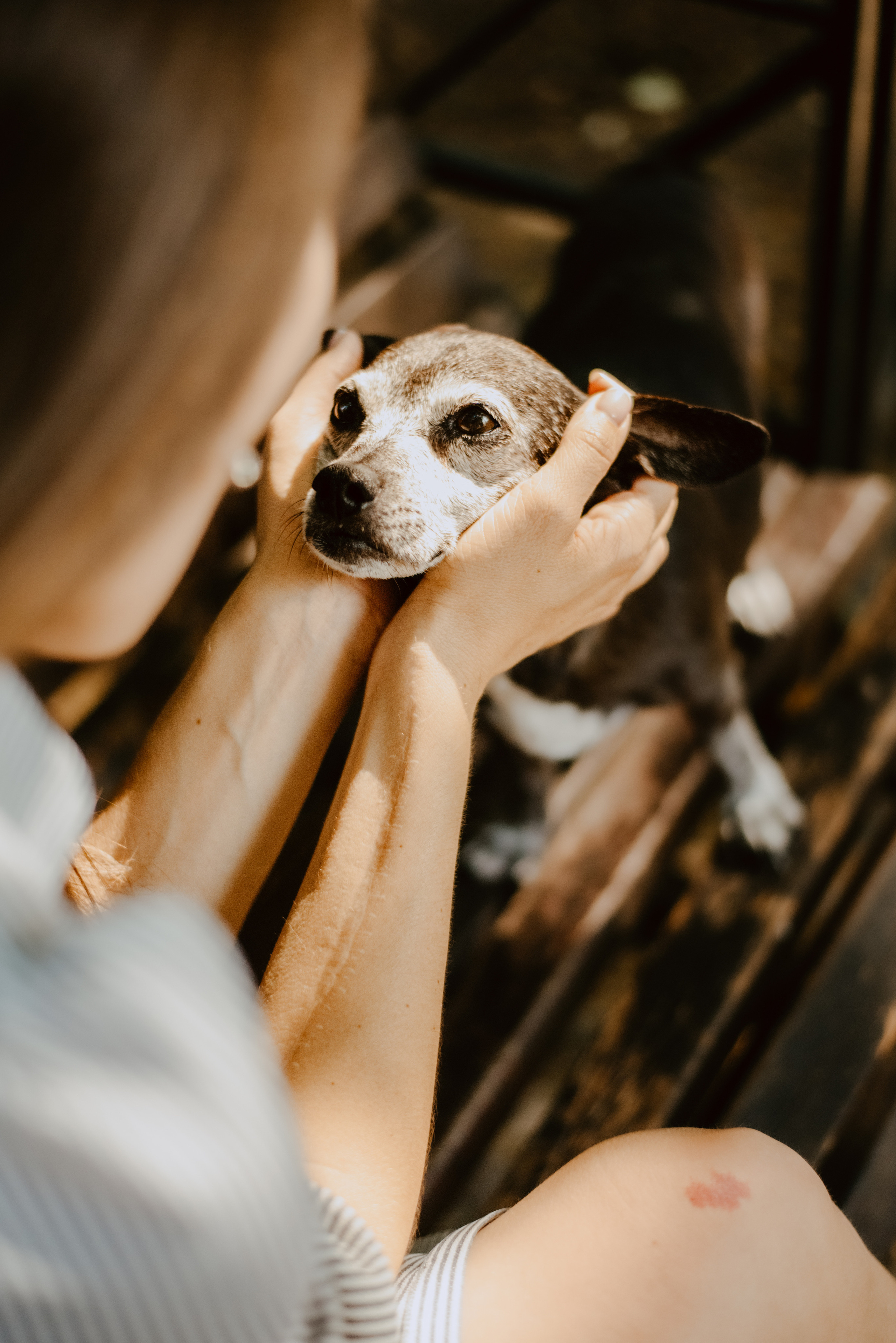 Rhiannon and Sasha. Lifestyle, wedding and family photographer