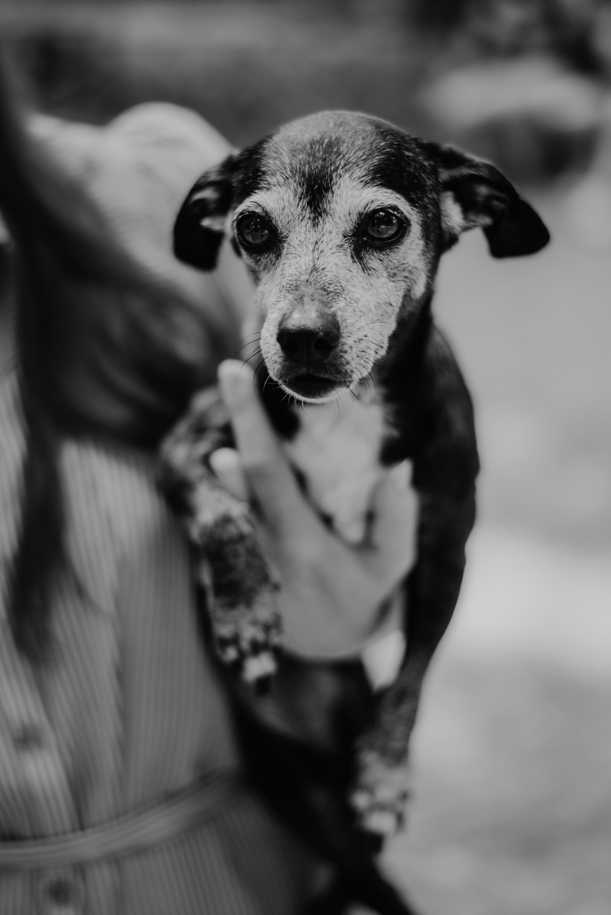 Rhiannon and Sasha. Lifestyle, wedding and family photographer