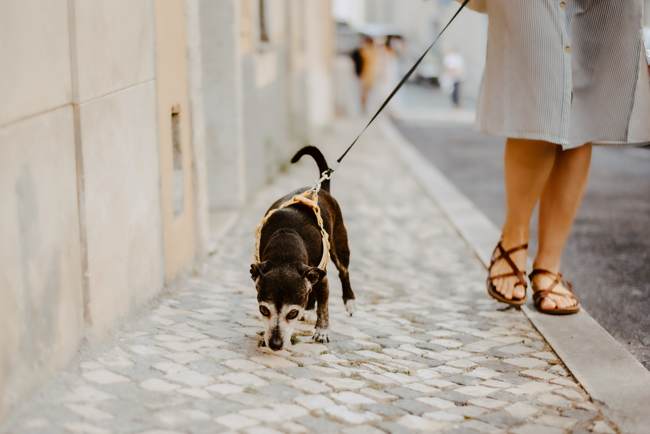 Rhiannon and Sasha. Lifestyle, wedding and family photographer