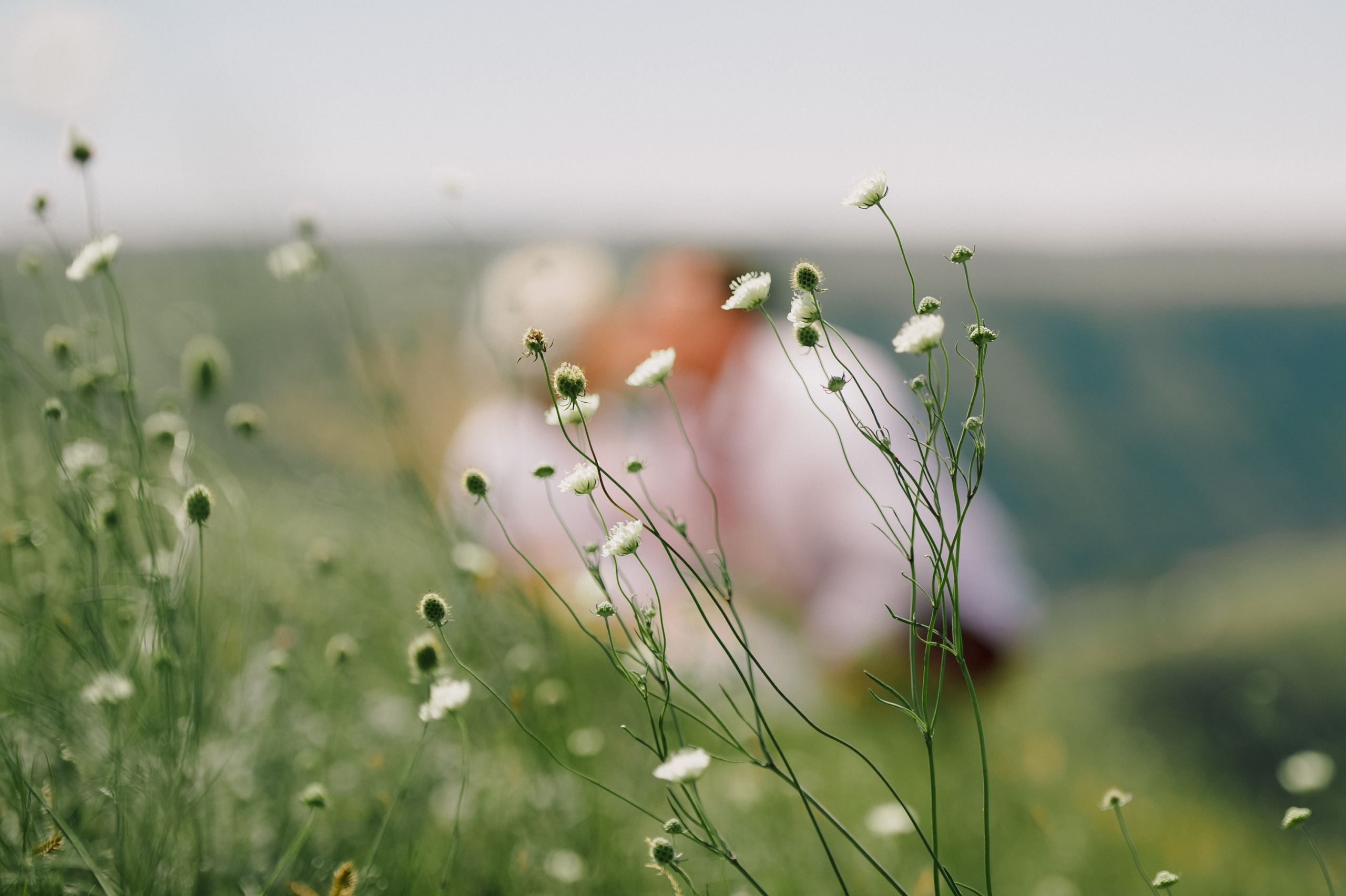 Silvia & Mihai. Fotograf de familie și evenimente