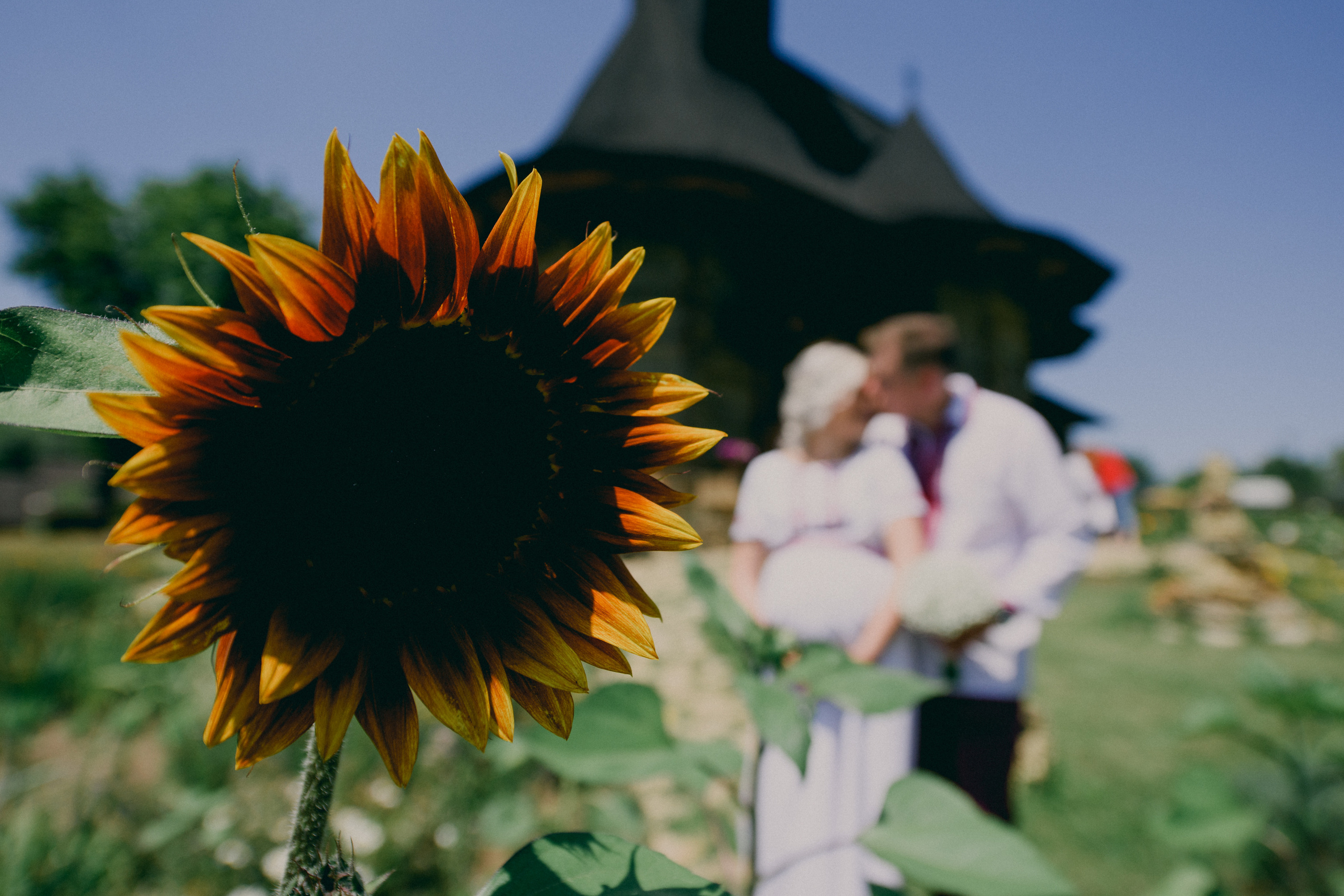 Silvia & Mihai. Fotograf de familie și evenimente