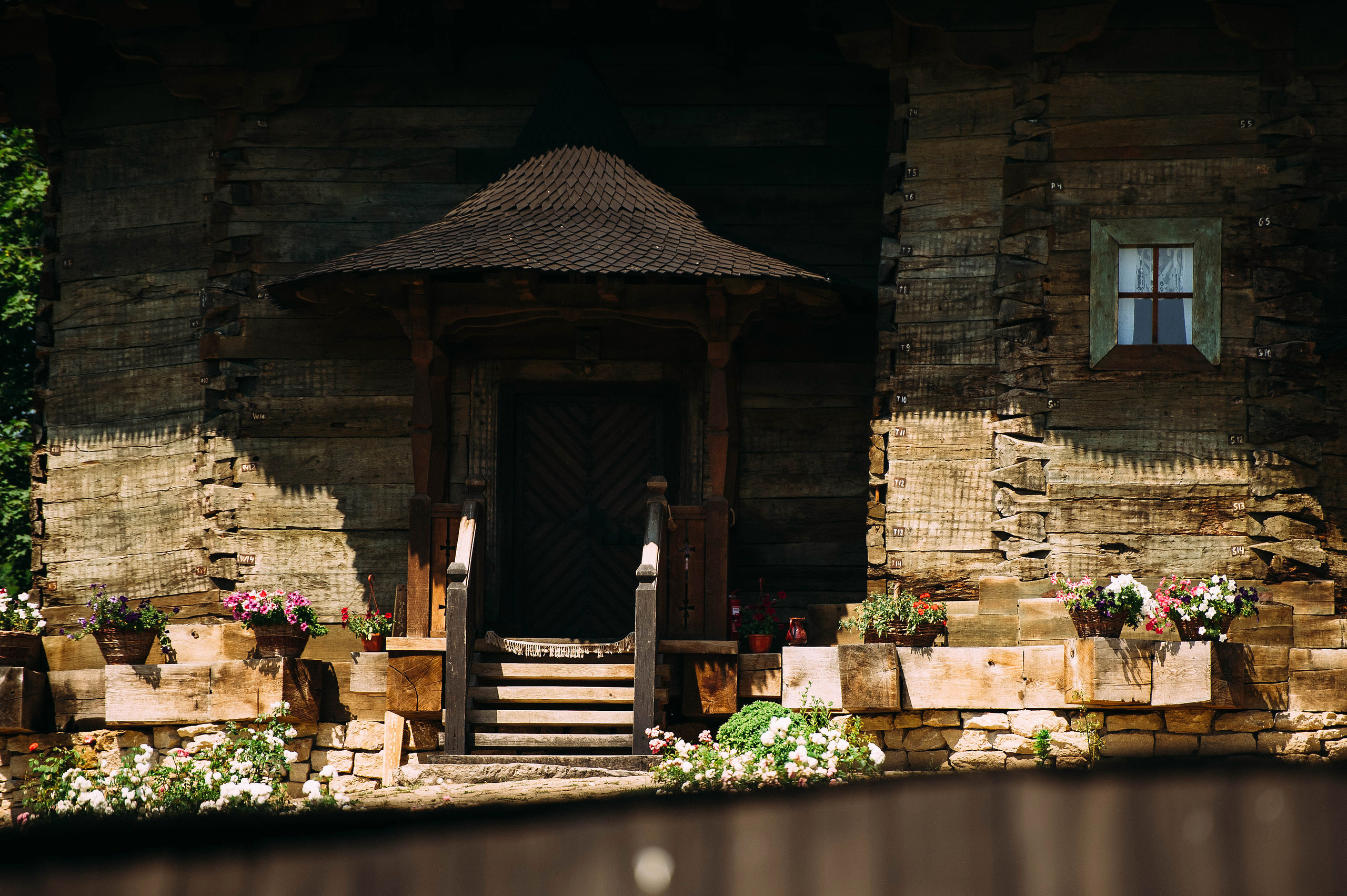 Silvia & Mihai. Fotograf de familie și evenimente
