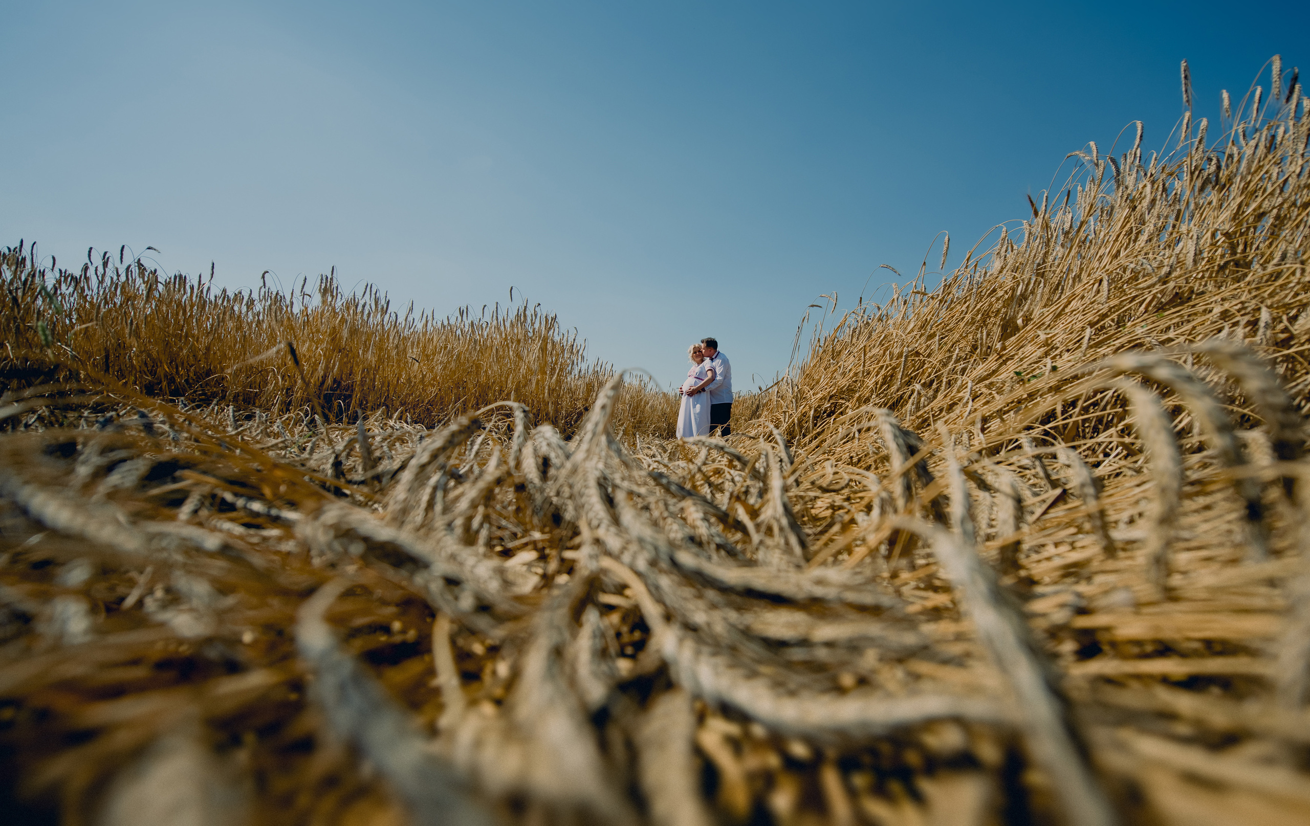 Silvia & Mihai. Fotograf de familie și evenimente