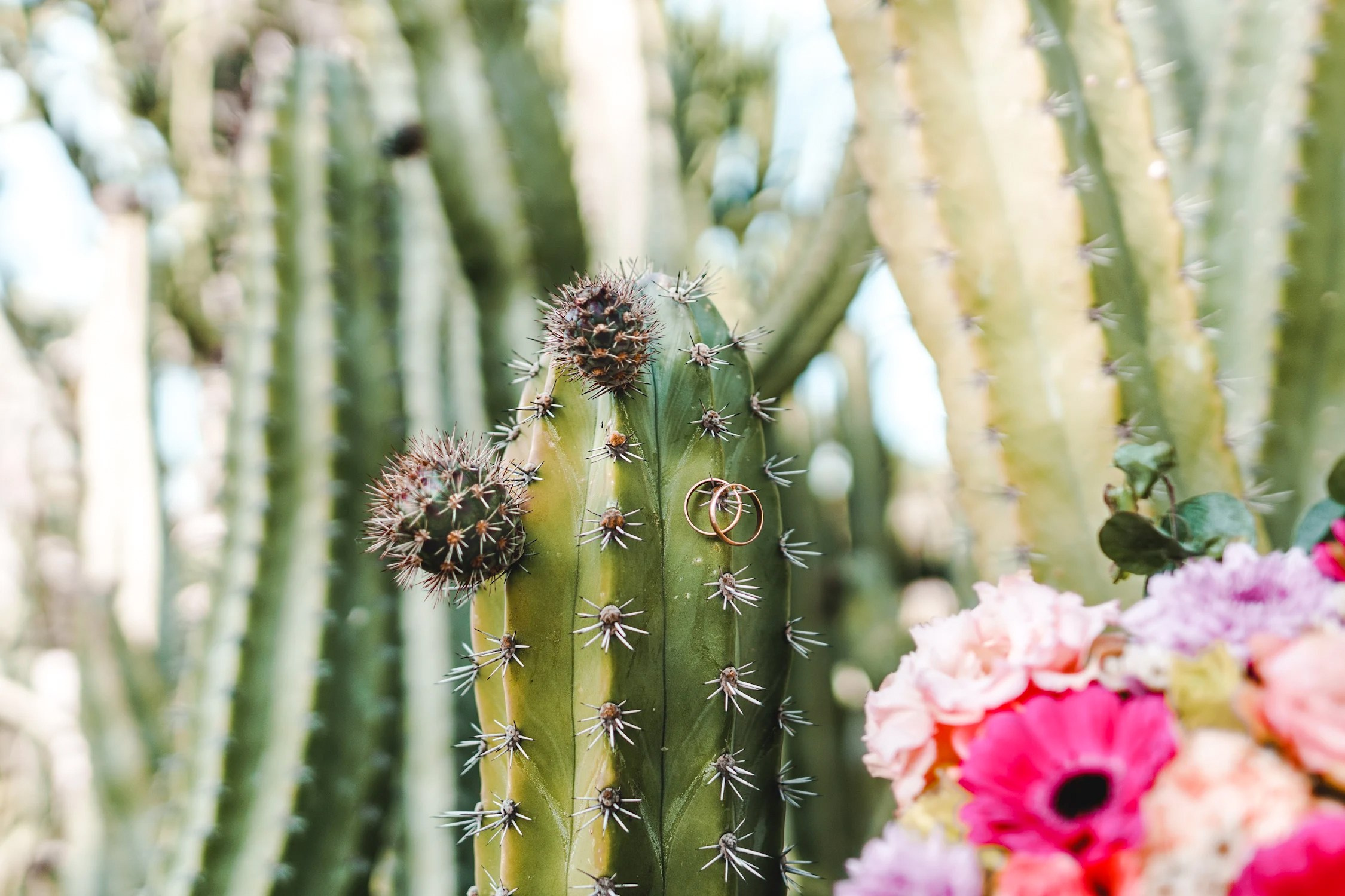 Photographer in Portugal Polina Gotovaya