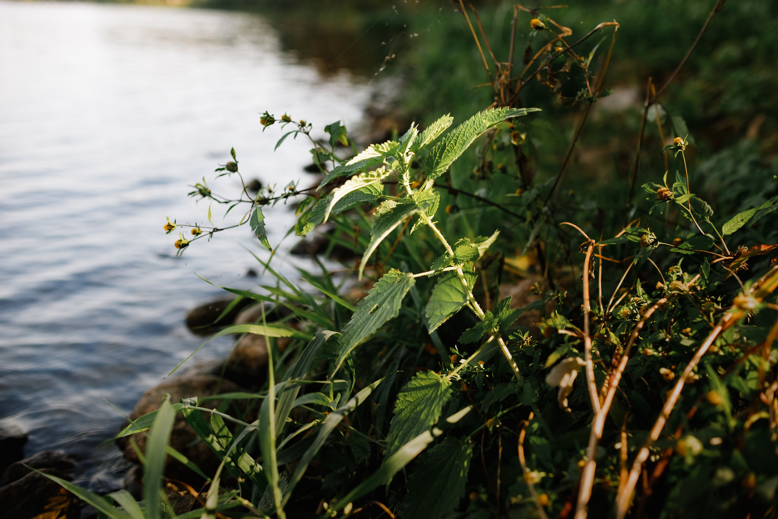 One small village in Grodno region. Kaja | fotograf we Wrocławiu | ludzie i psy
