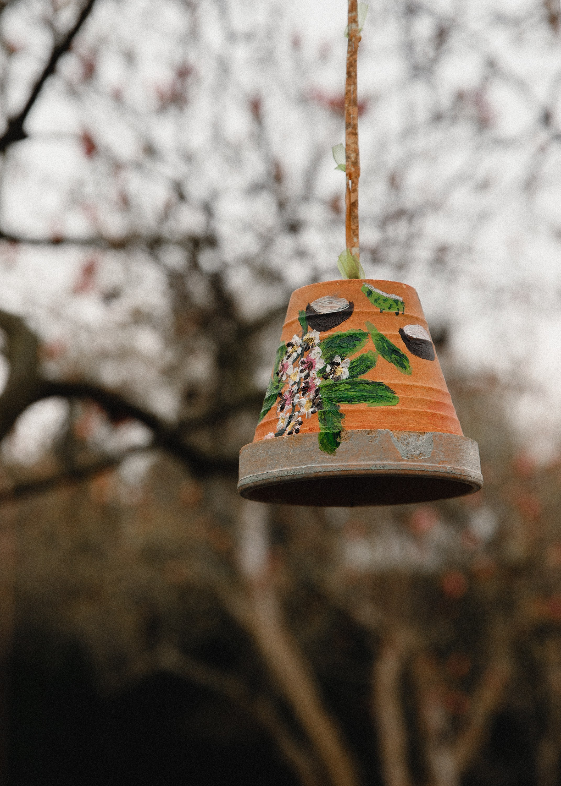 Botanical garden in Wroclaw. Kaja | fotograf we Wrocławiu | ludzie i psy