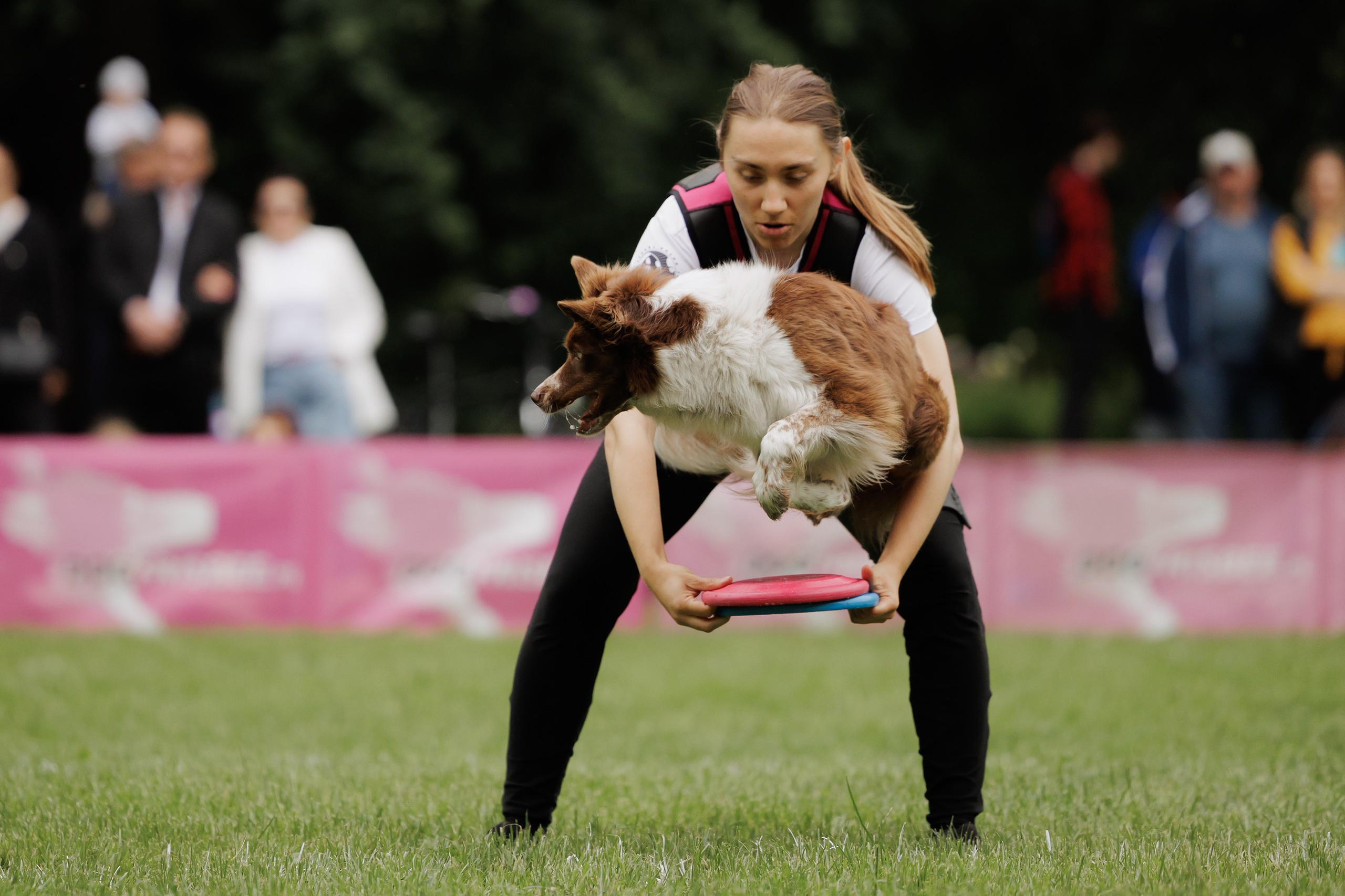 Latające psy, Wrocław'25. Kaja | fotograf psów we Wrocławiu