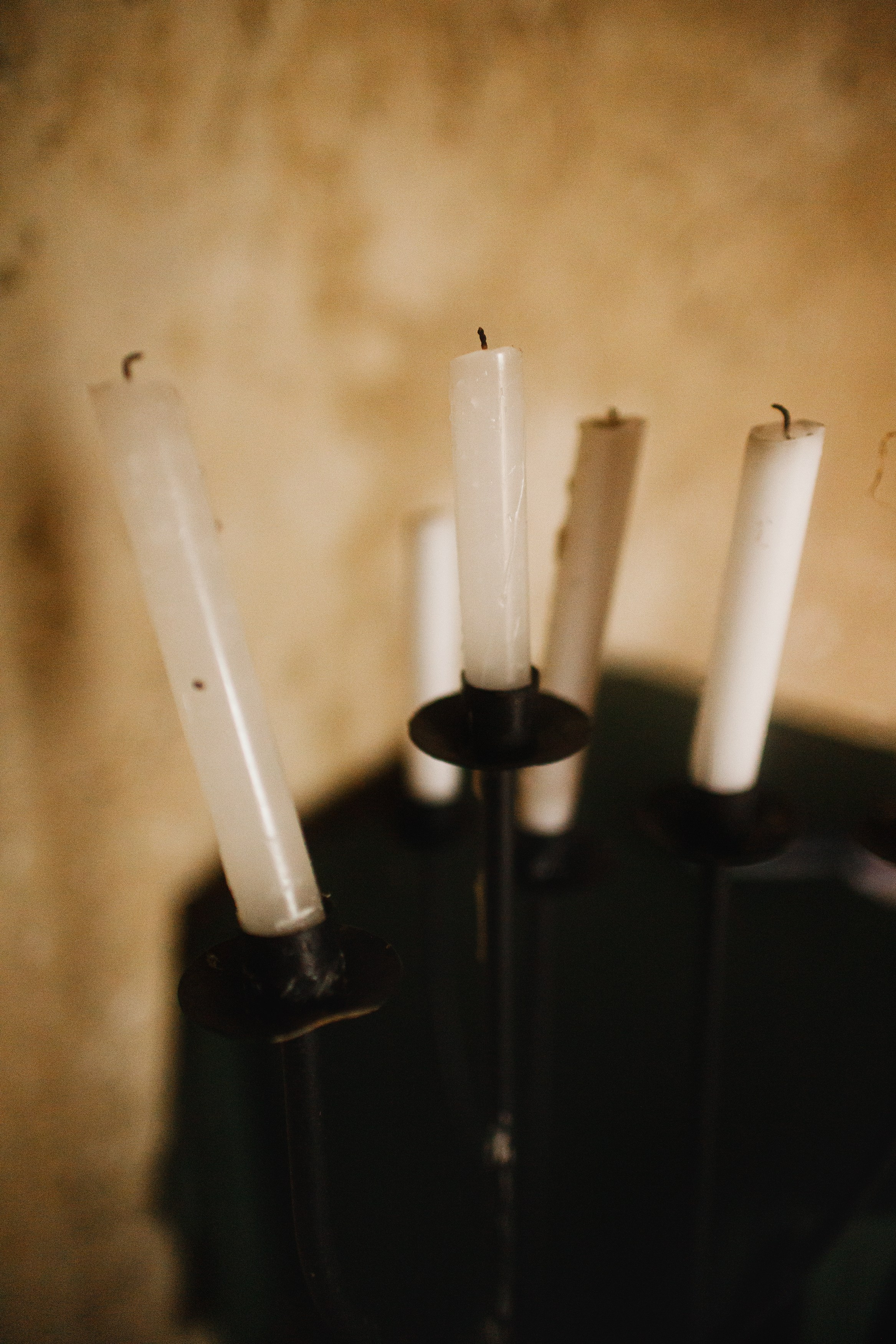 Zamek Grodziec. Kaja | fotograf psów we Wrocławiu