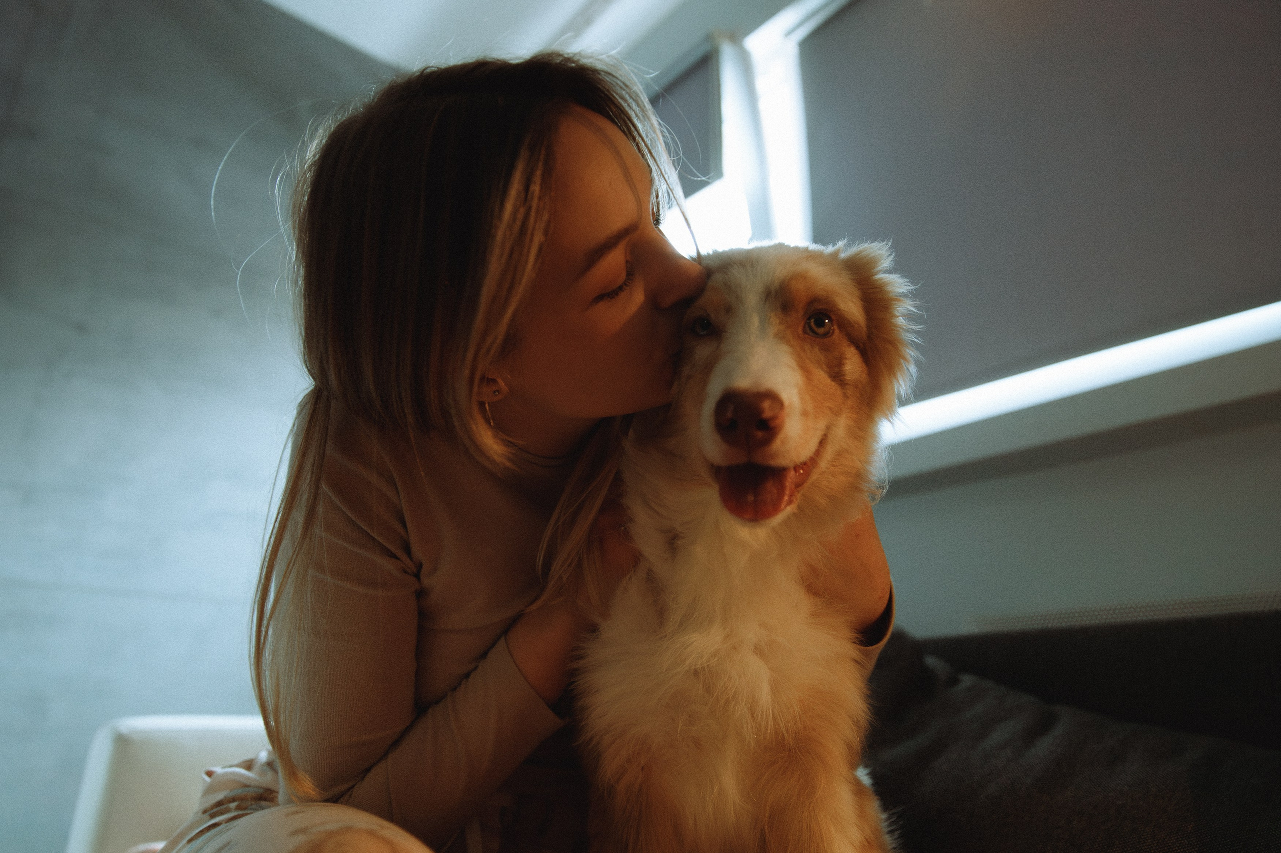 Fotografia psów Wrocław. Kaja | fotograf we Wrocławiu | ludzie i psy