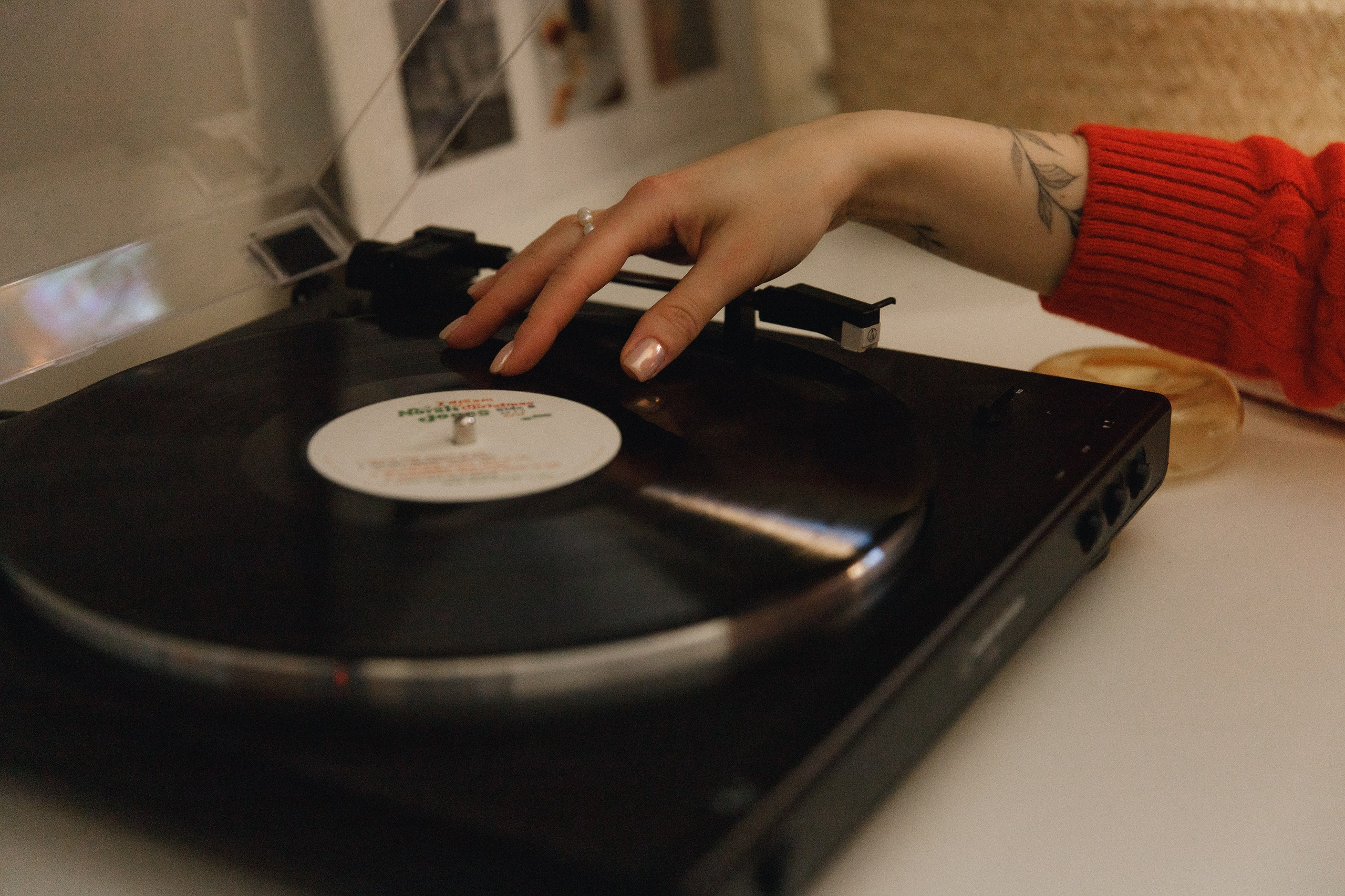 Dasha & Daisy. Kaja | fotograf psów we Wrocławiu