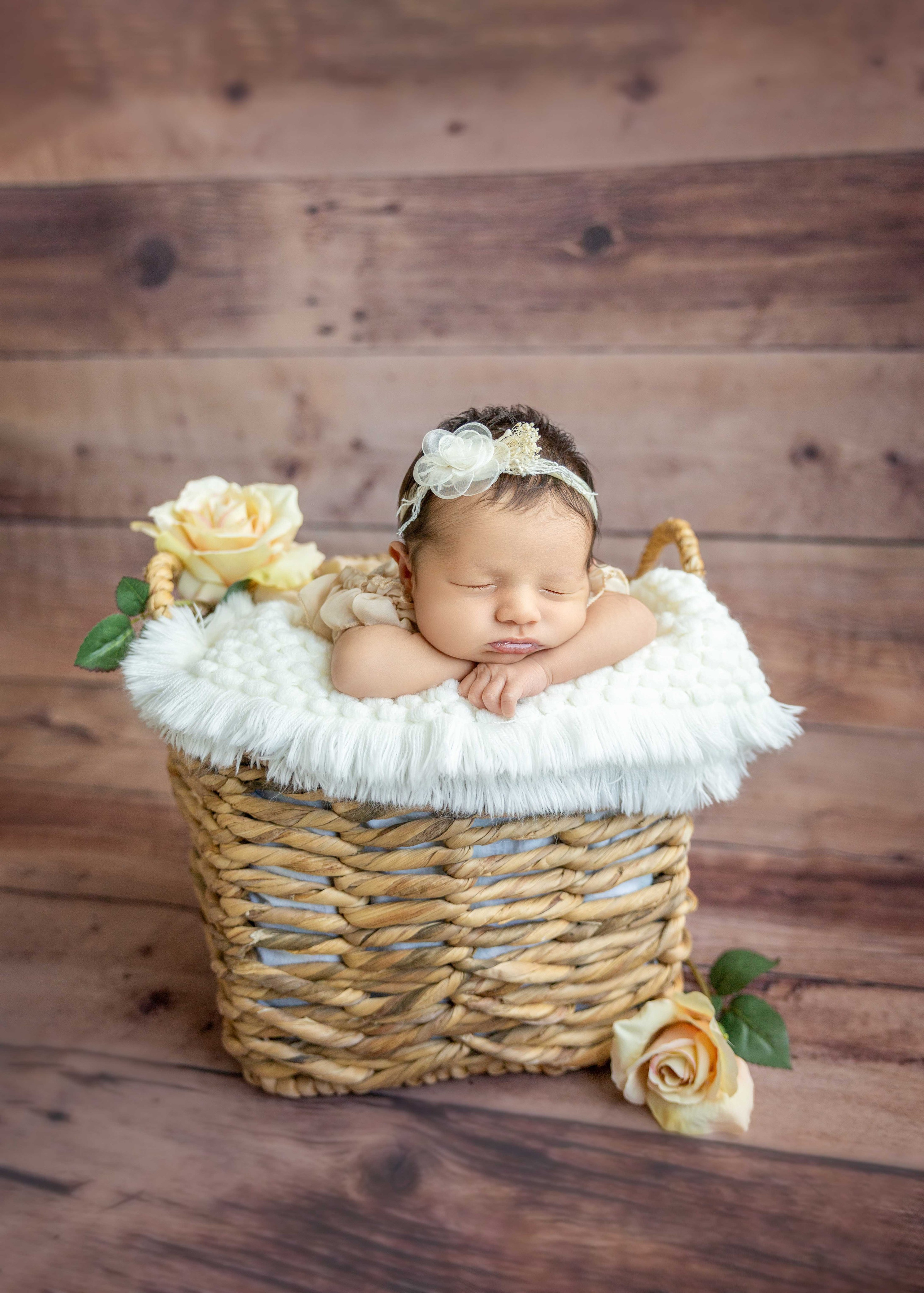 Newborn photos. Newborn photographer in Tampa Bay Area, FL