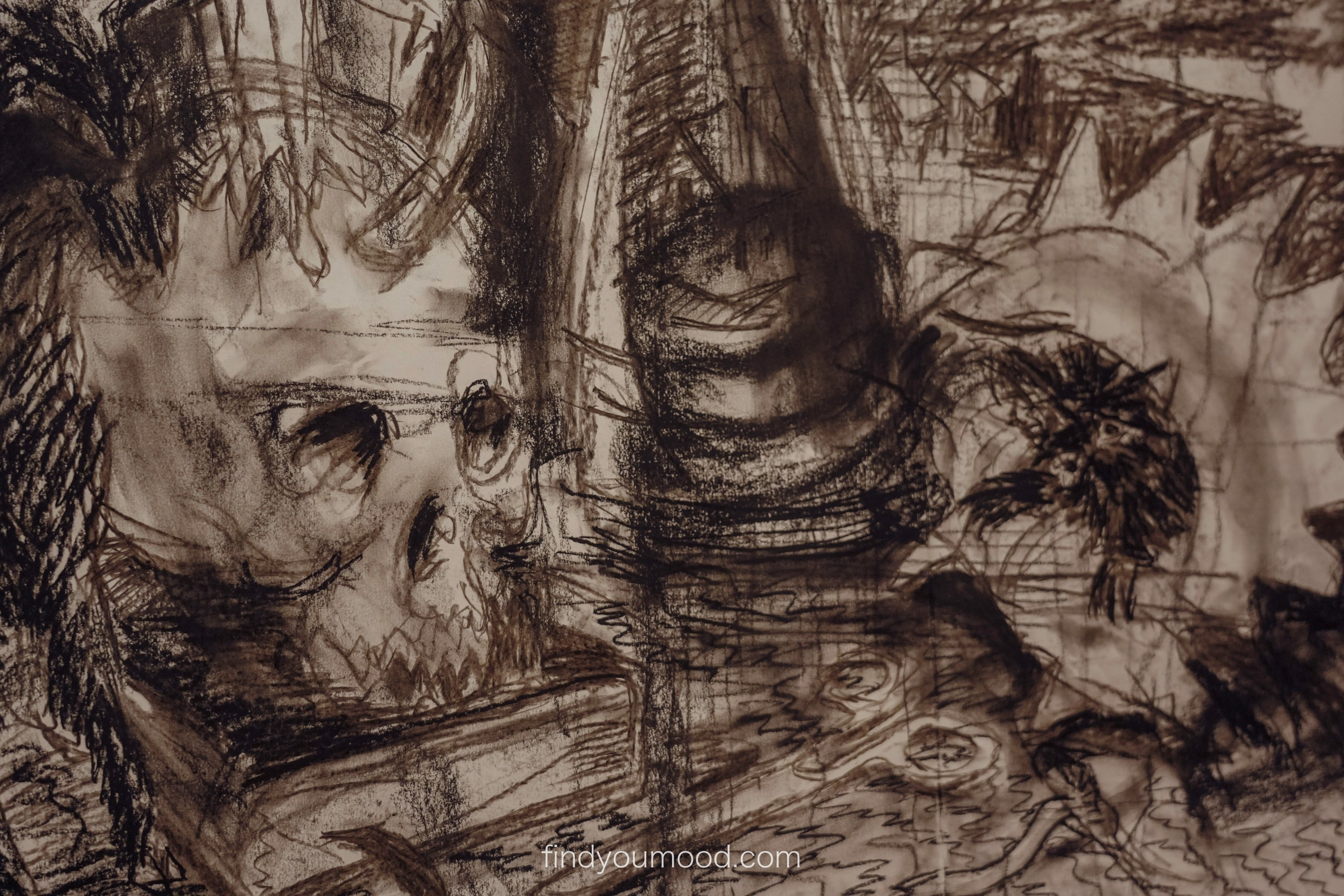 TOHUBOHU. Photo and video shooting