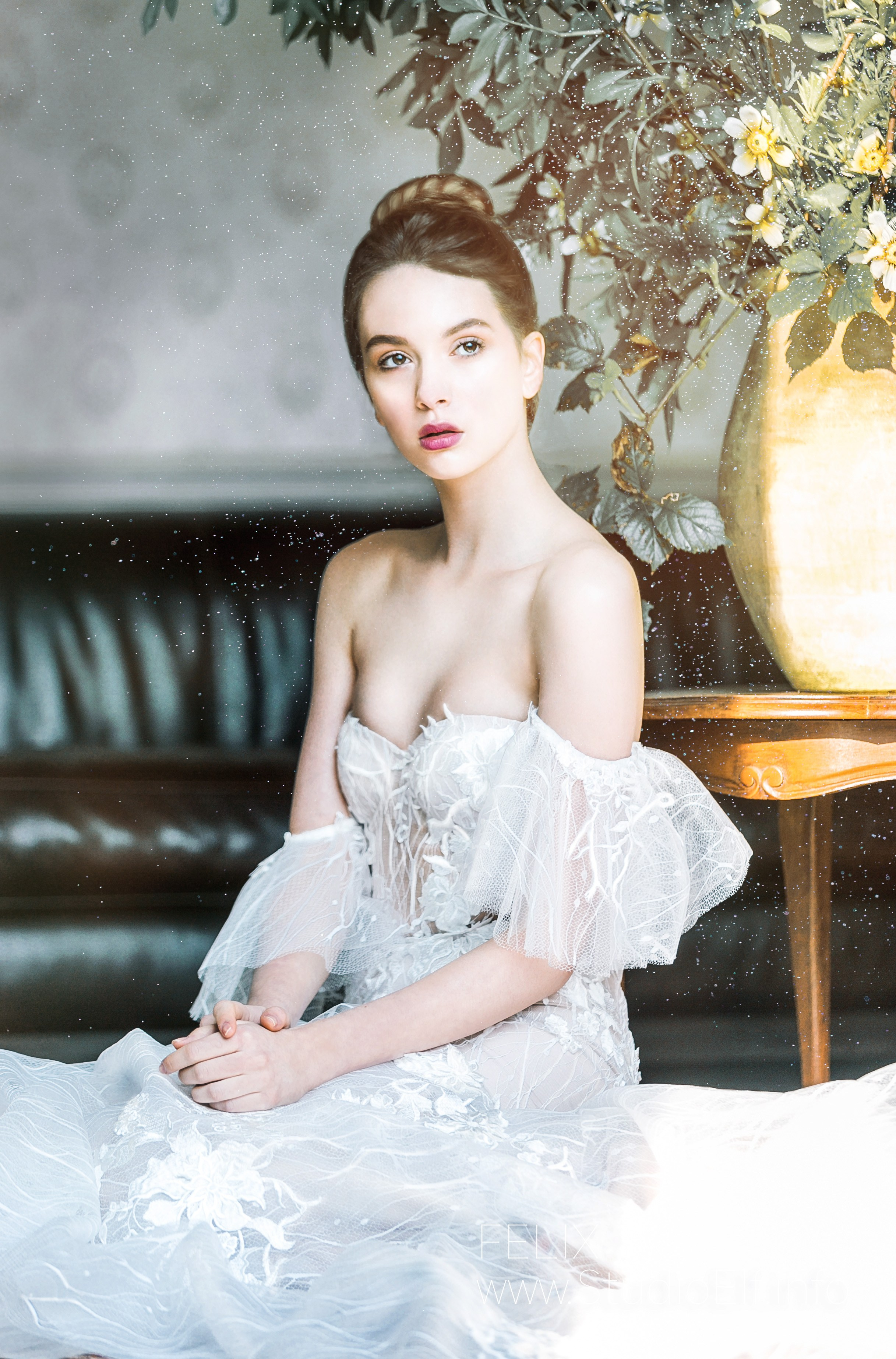 🏀 ALBUM « MARIAGE ». Félix - Photographe professionnel à Paris