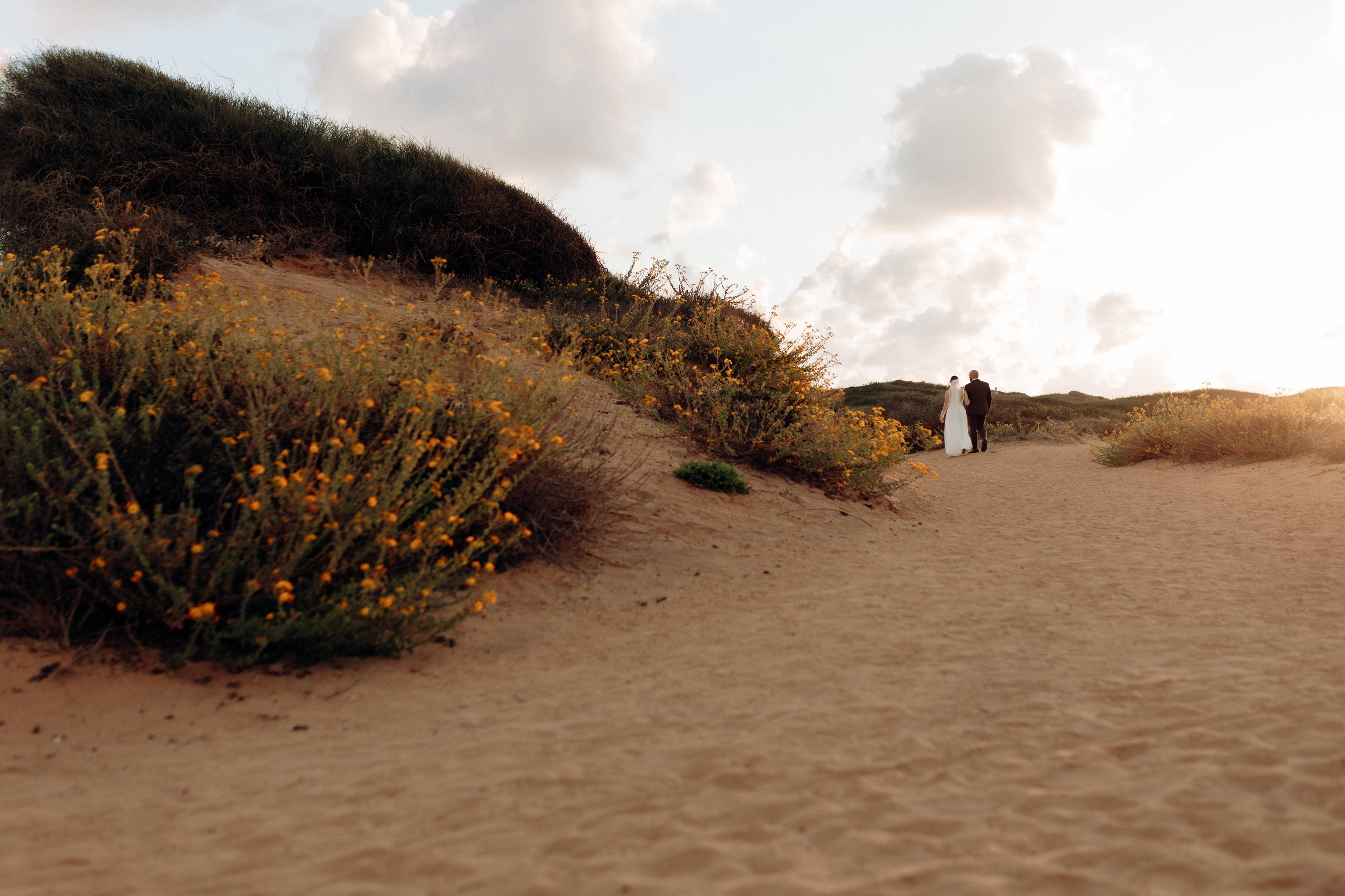Two Souls, One Story. Https://shi-photo.com/