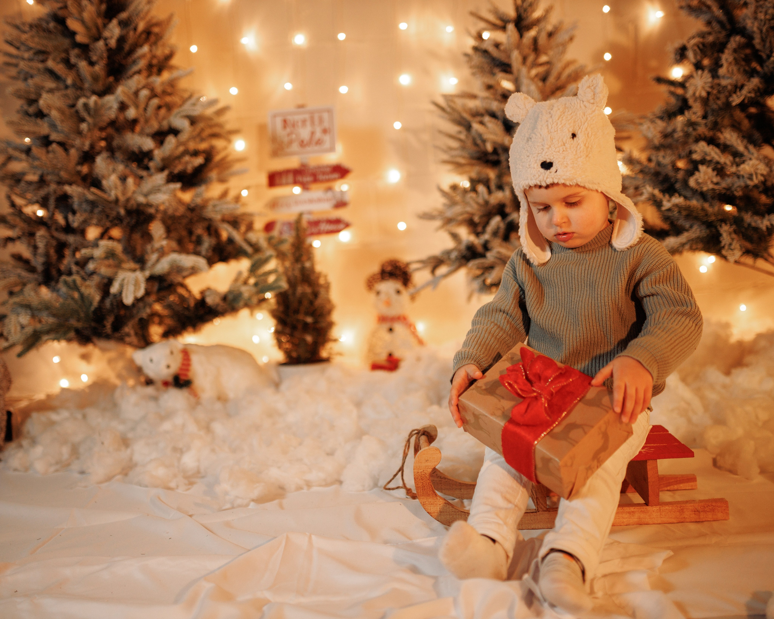 Christmas Time. Https://valeriubriciuc.com/