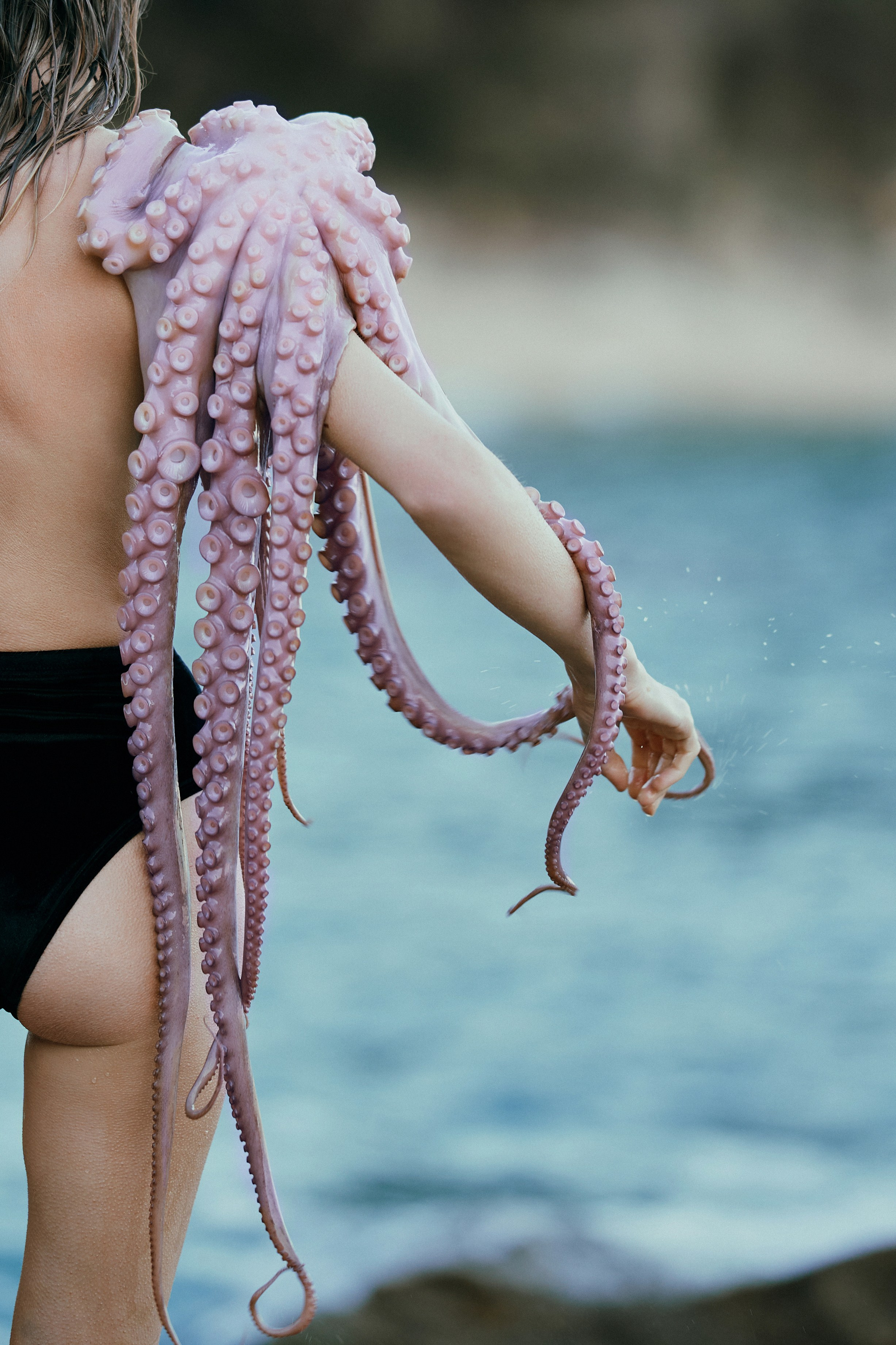 Pulpo. Фотограф в Барселоне Жанна Захарченко