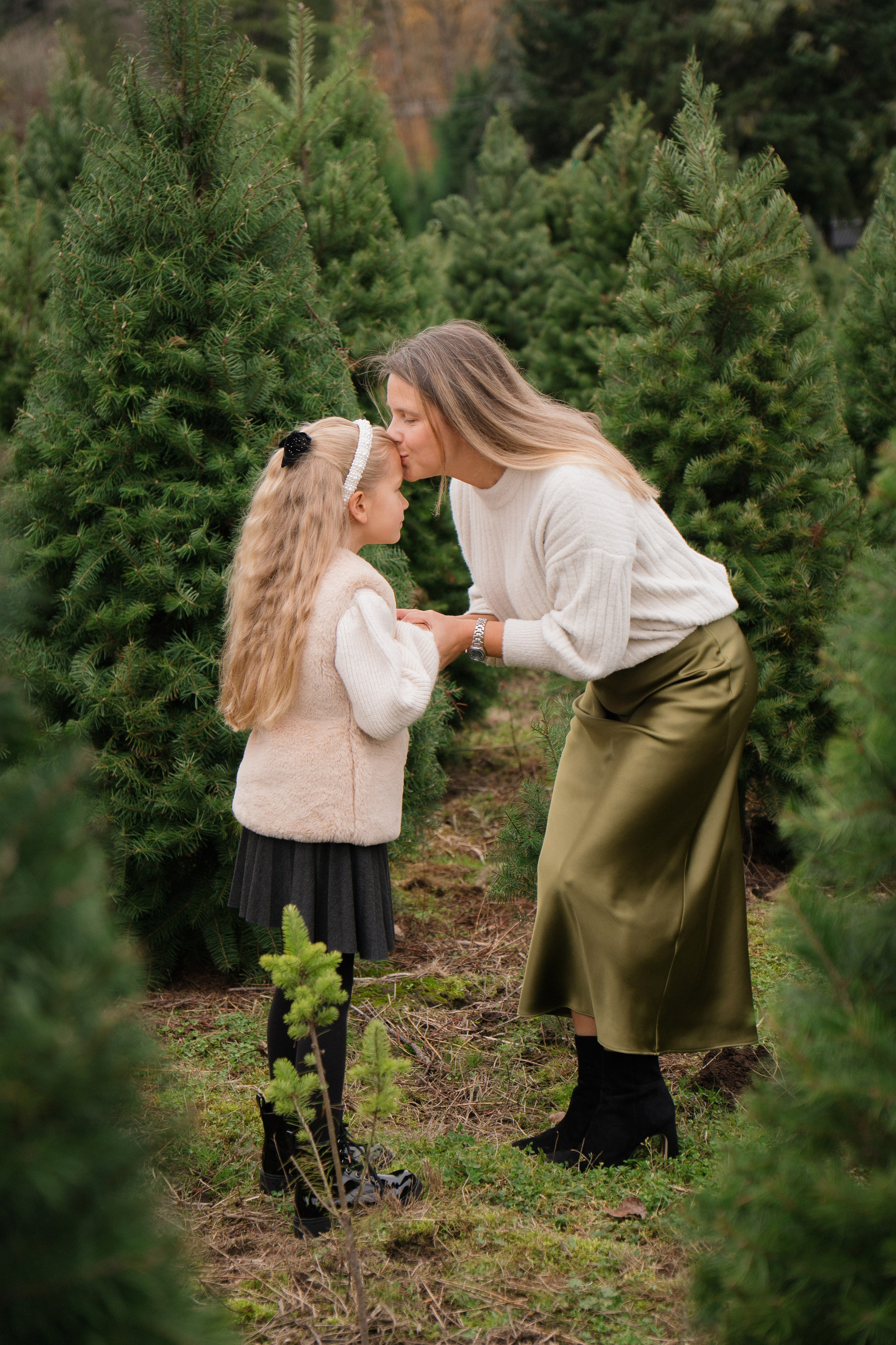 Christmas sessions. Photographer in Washington Sophia D