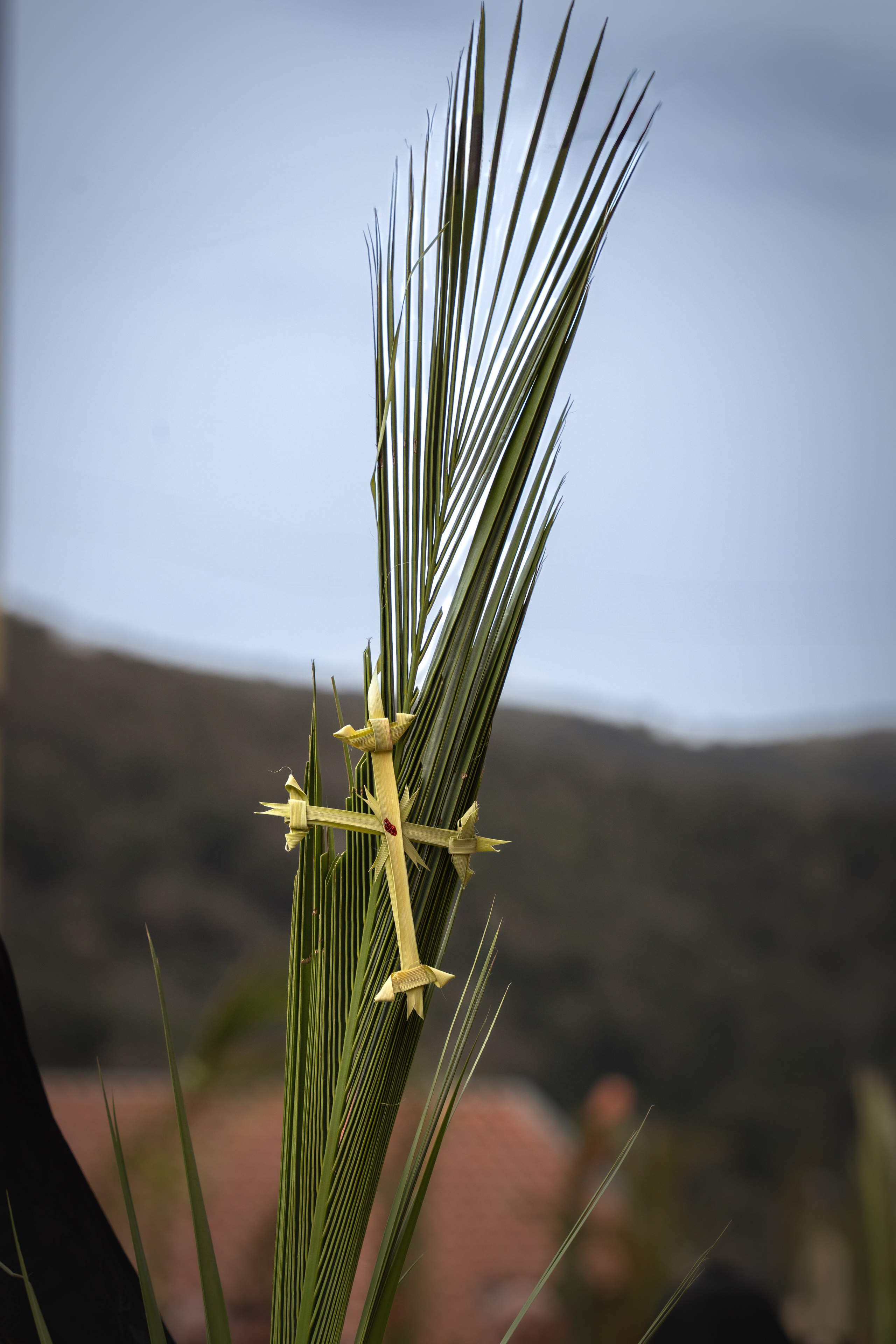 Domenica delle palme. Olga Manukhina fotografo in Sardegna