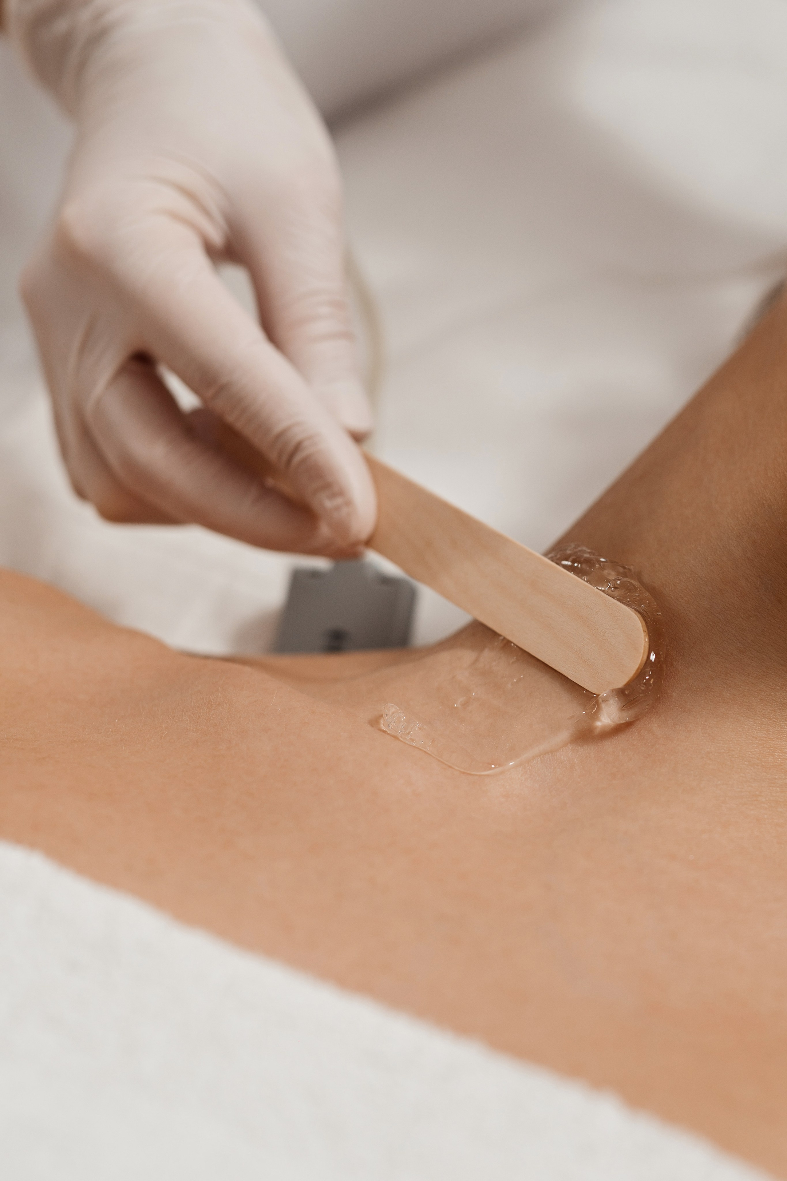 Cattleya | personal branding. Home