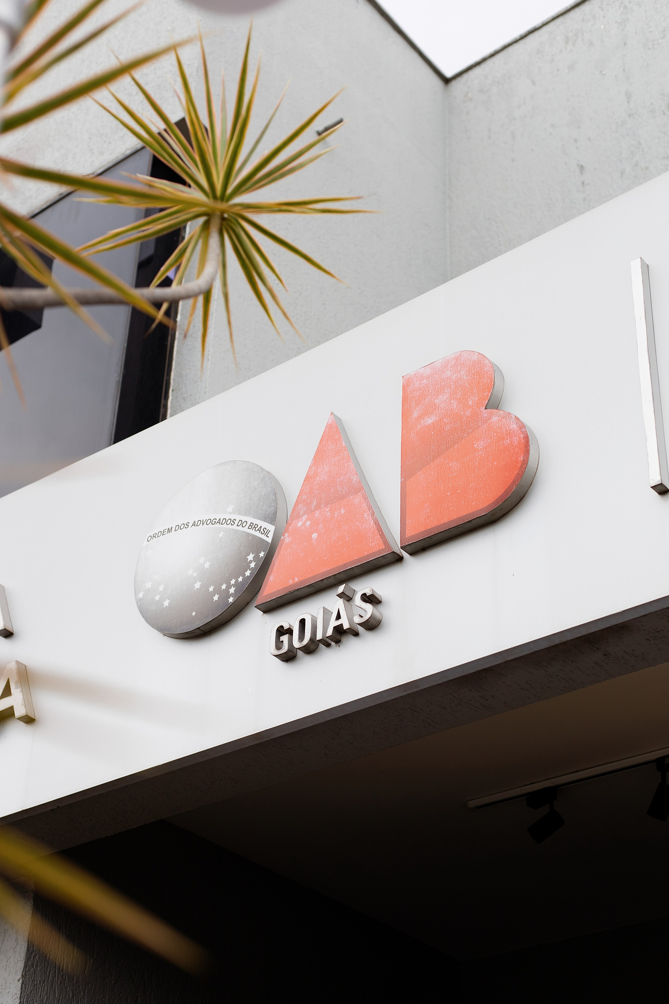 (OAB) DIA DA MULHER. Eu Talyssa Mendonça (Fotógrafa, Goiânia — GO)