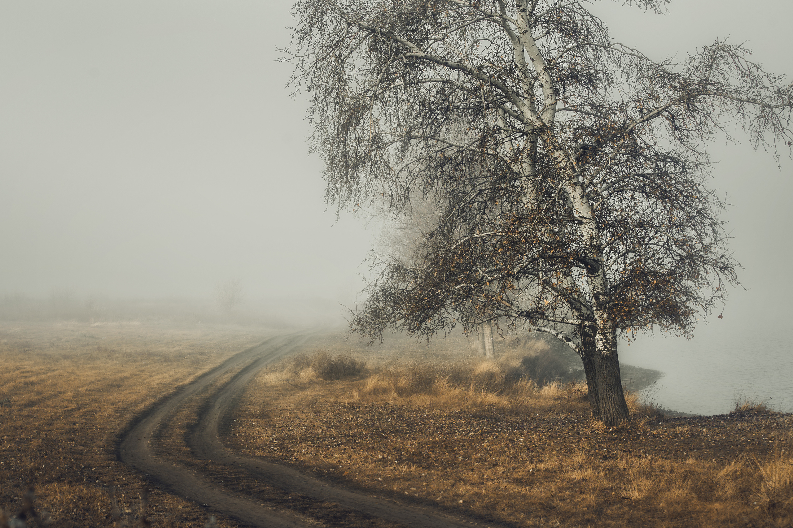 Пейзажная фотография Молдова. Recstudiofilm — Фото видео услуги на свадьбу в Молдове