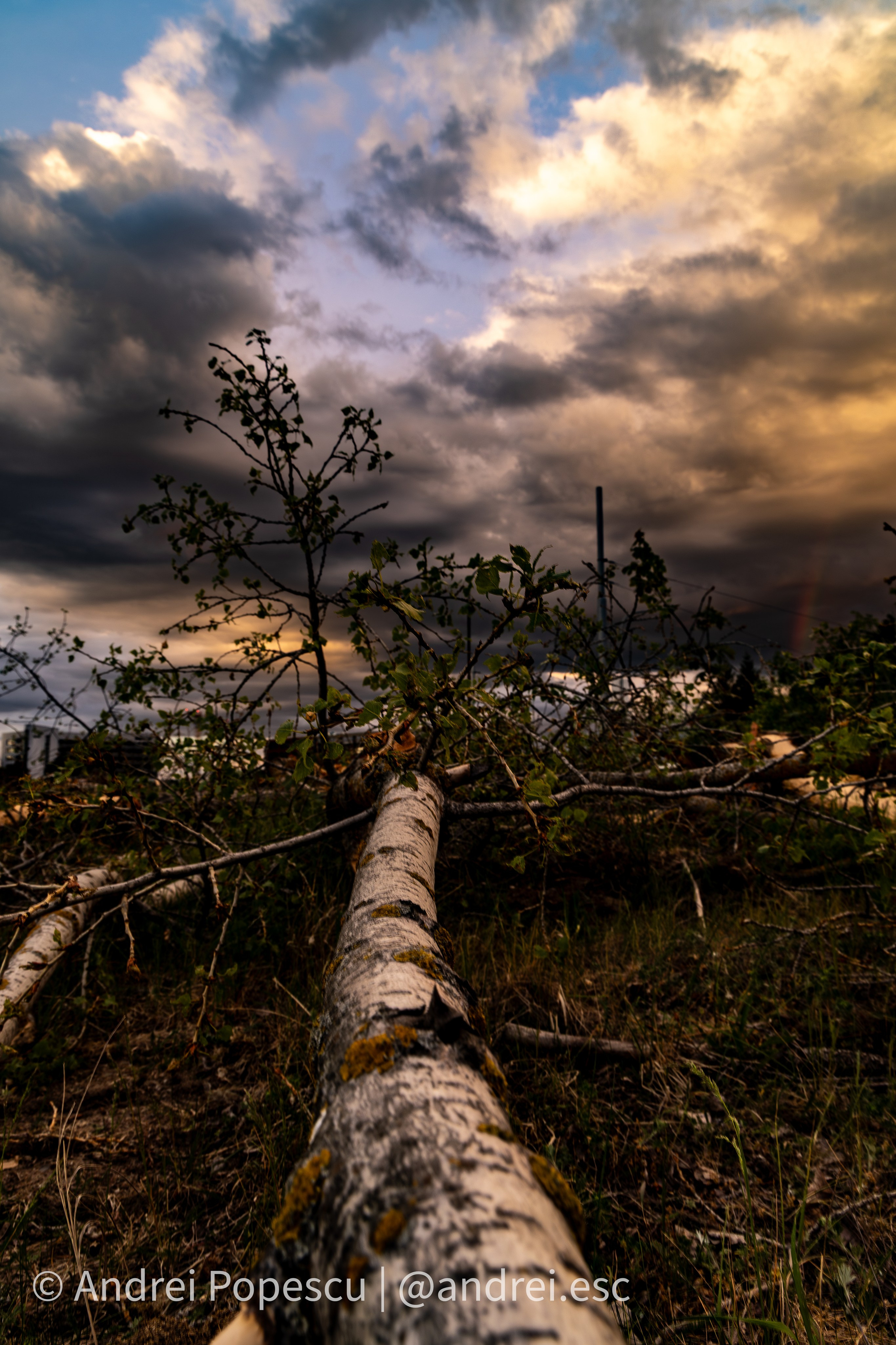 Scenery. Andrei Popescu Photography