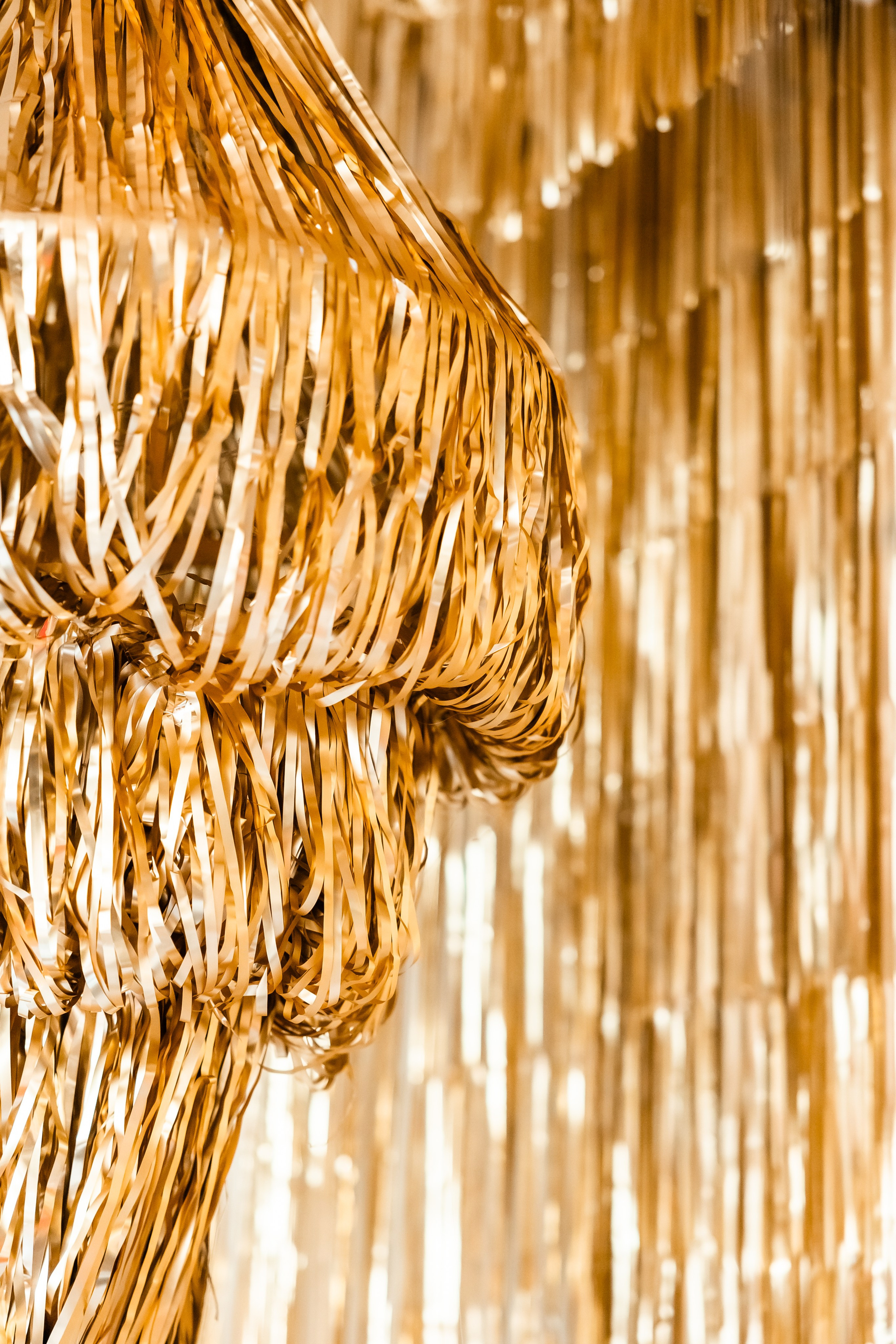 Коледа 2023-24. Фотограф Ирина Йотова