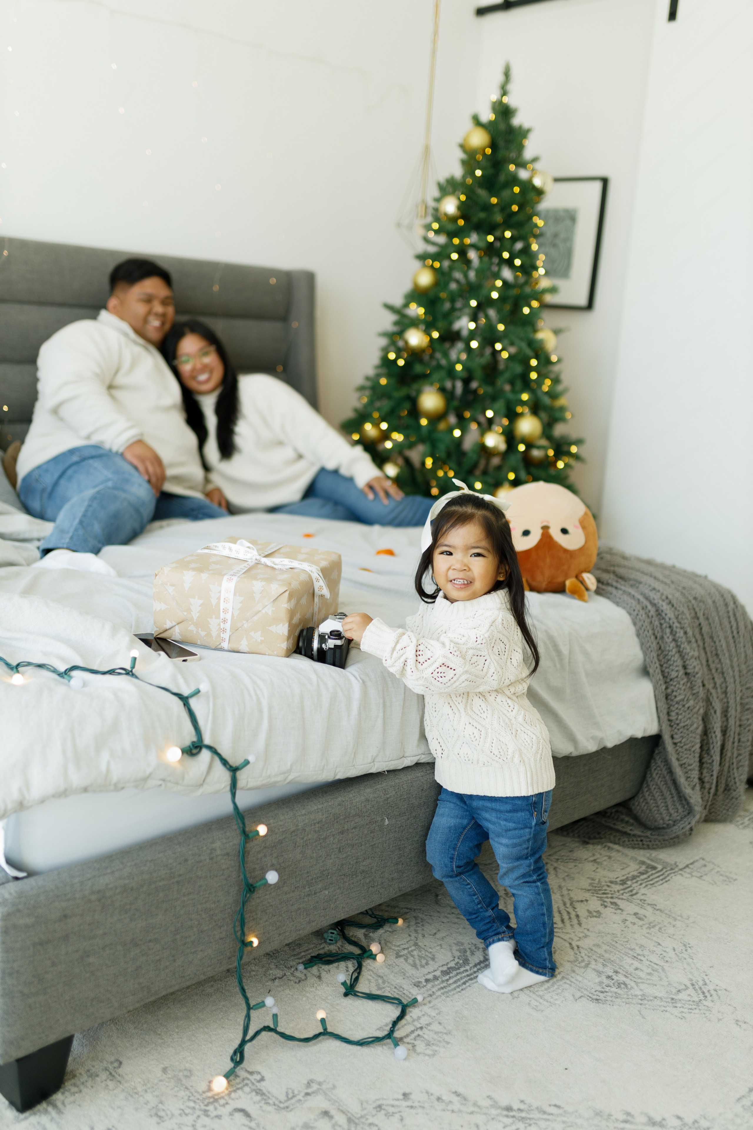 Christmas minis 2025. Home