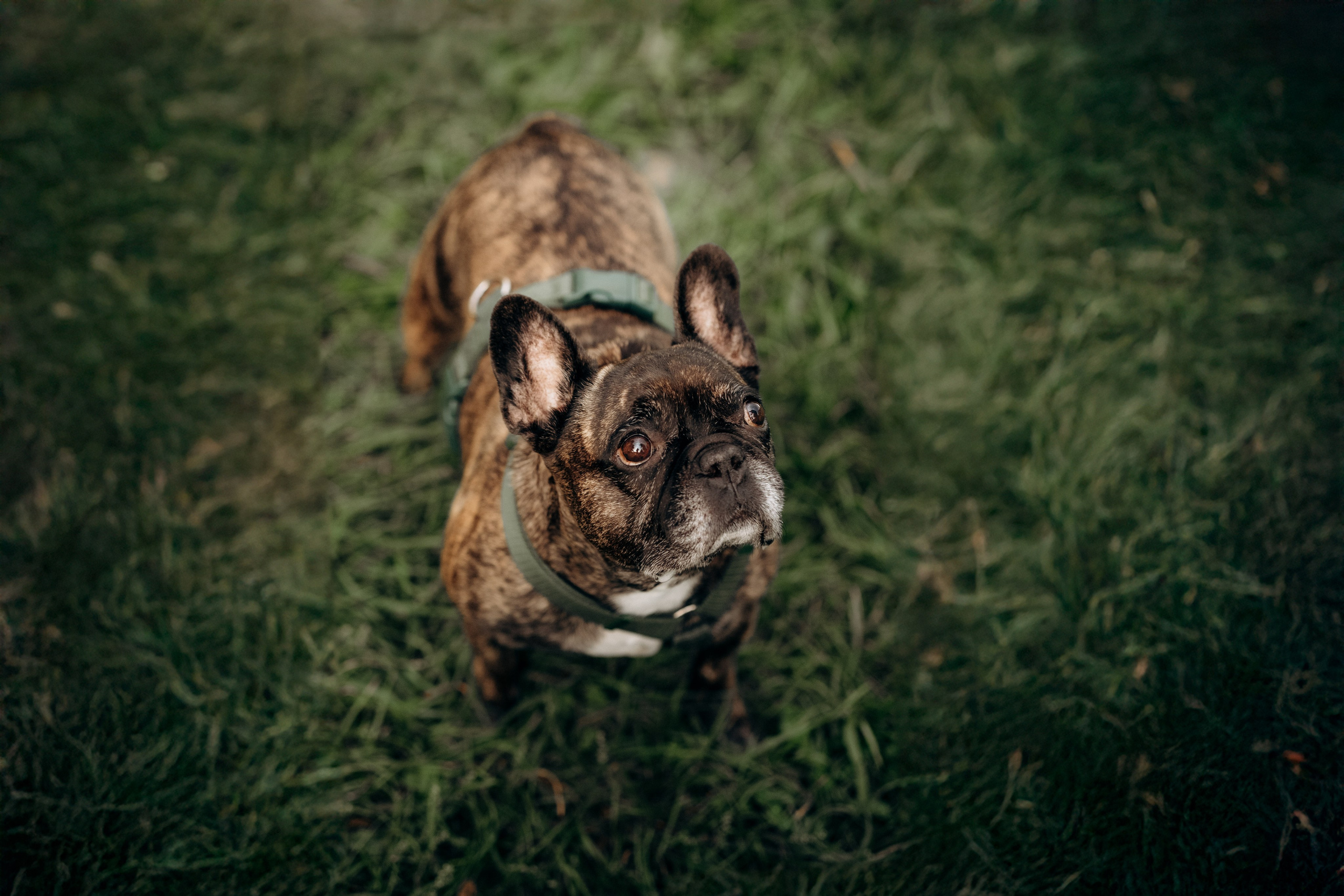 A Warsaw Family Day. Фотографы Минск и мир