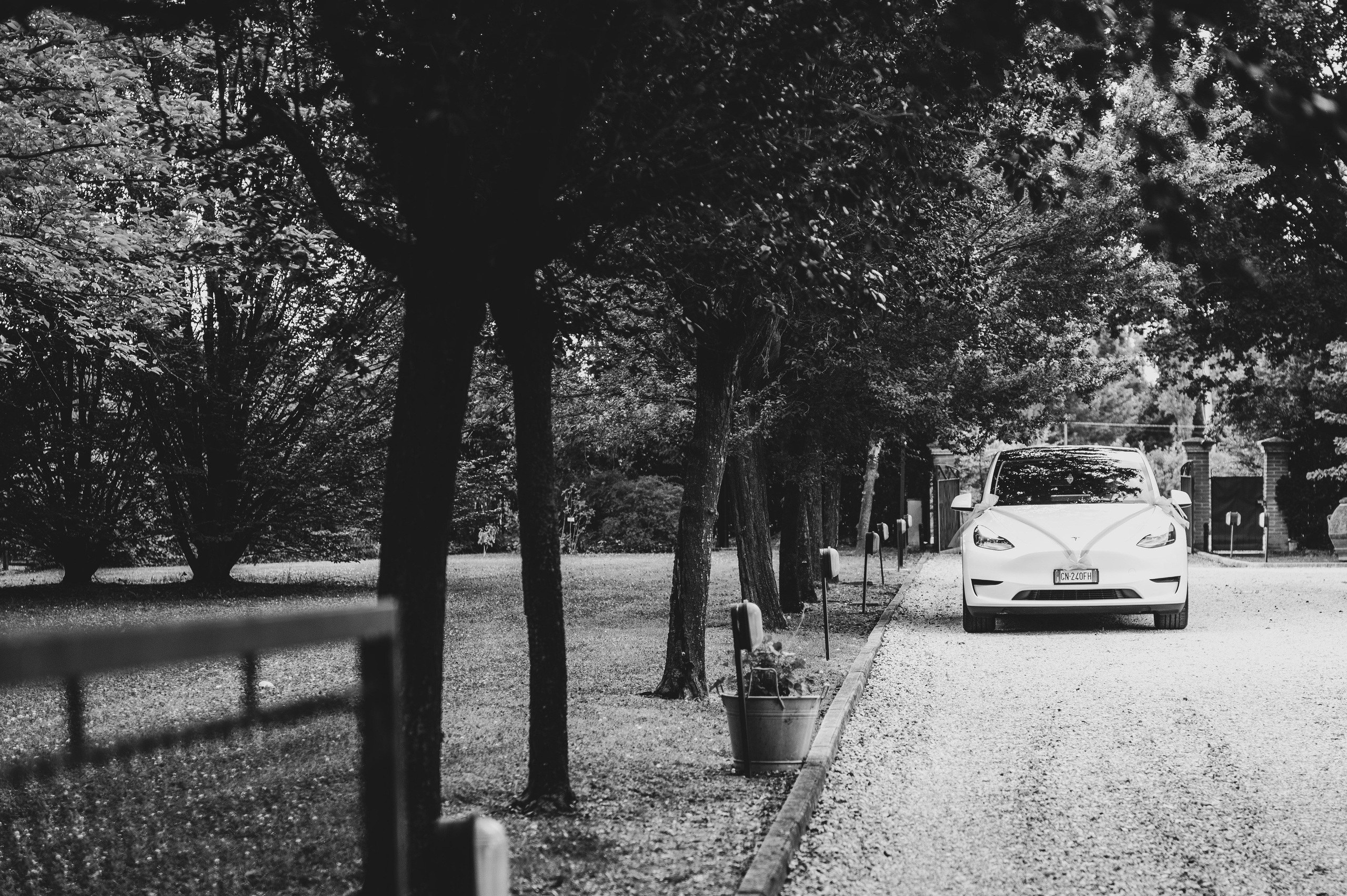 Selectie. Daniel Rotaru Photography