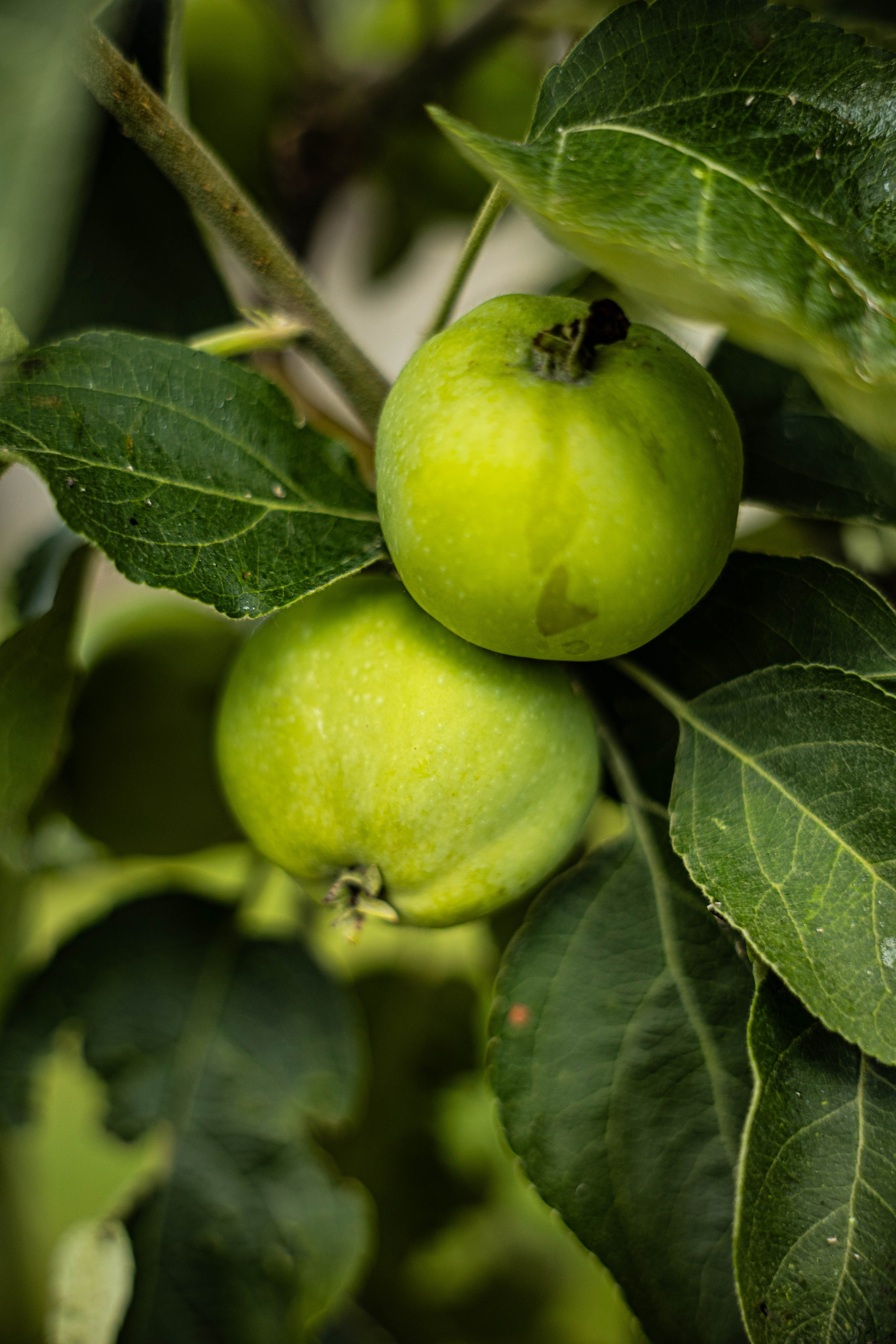 Scoala de Fotografie