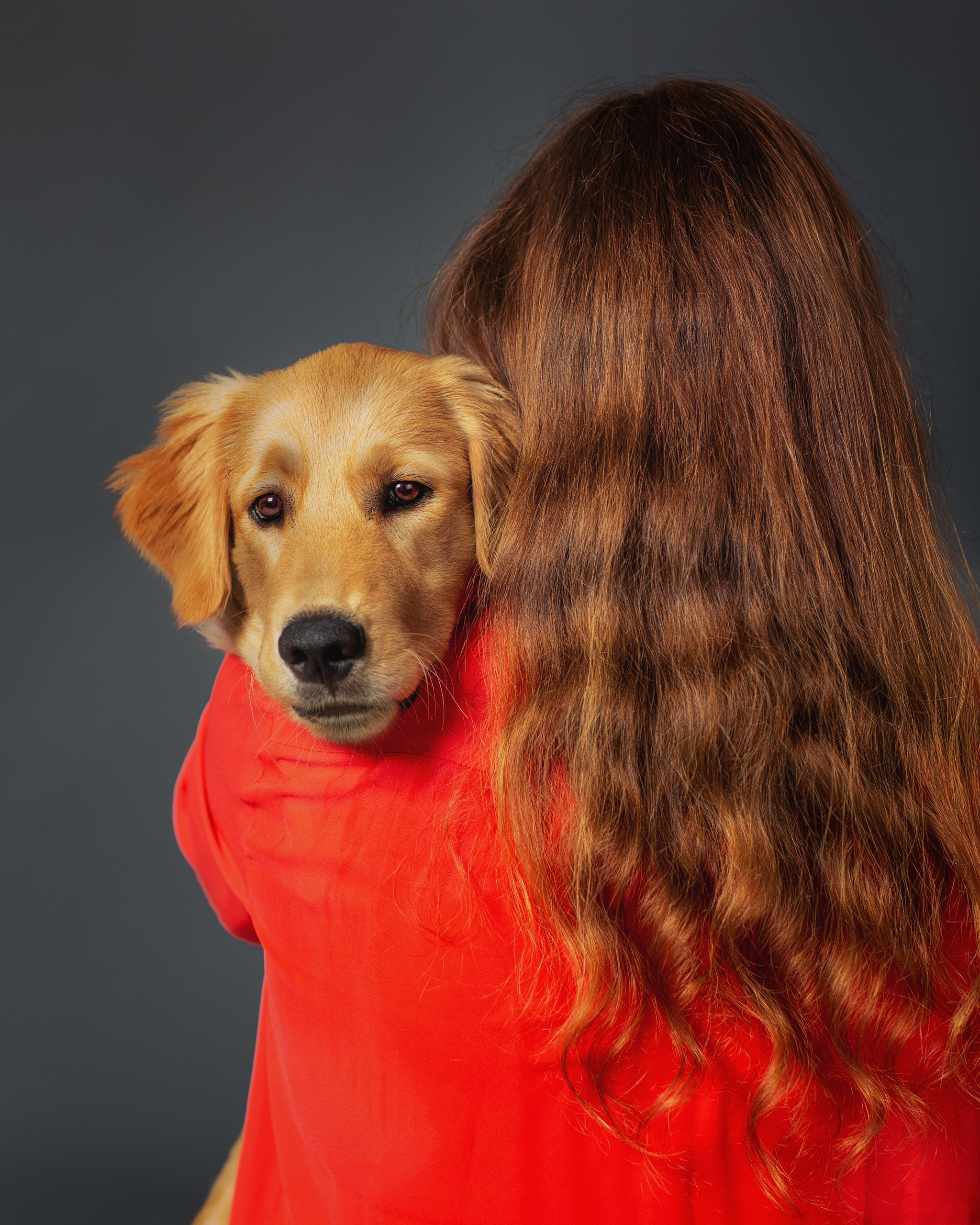 Pet Photography. Pet, Senior, Landscape, portrait studio, photographer in Miami and Sou