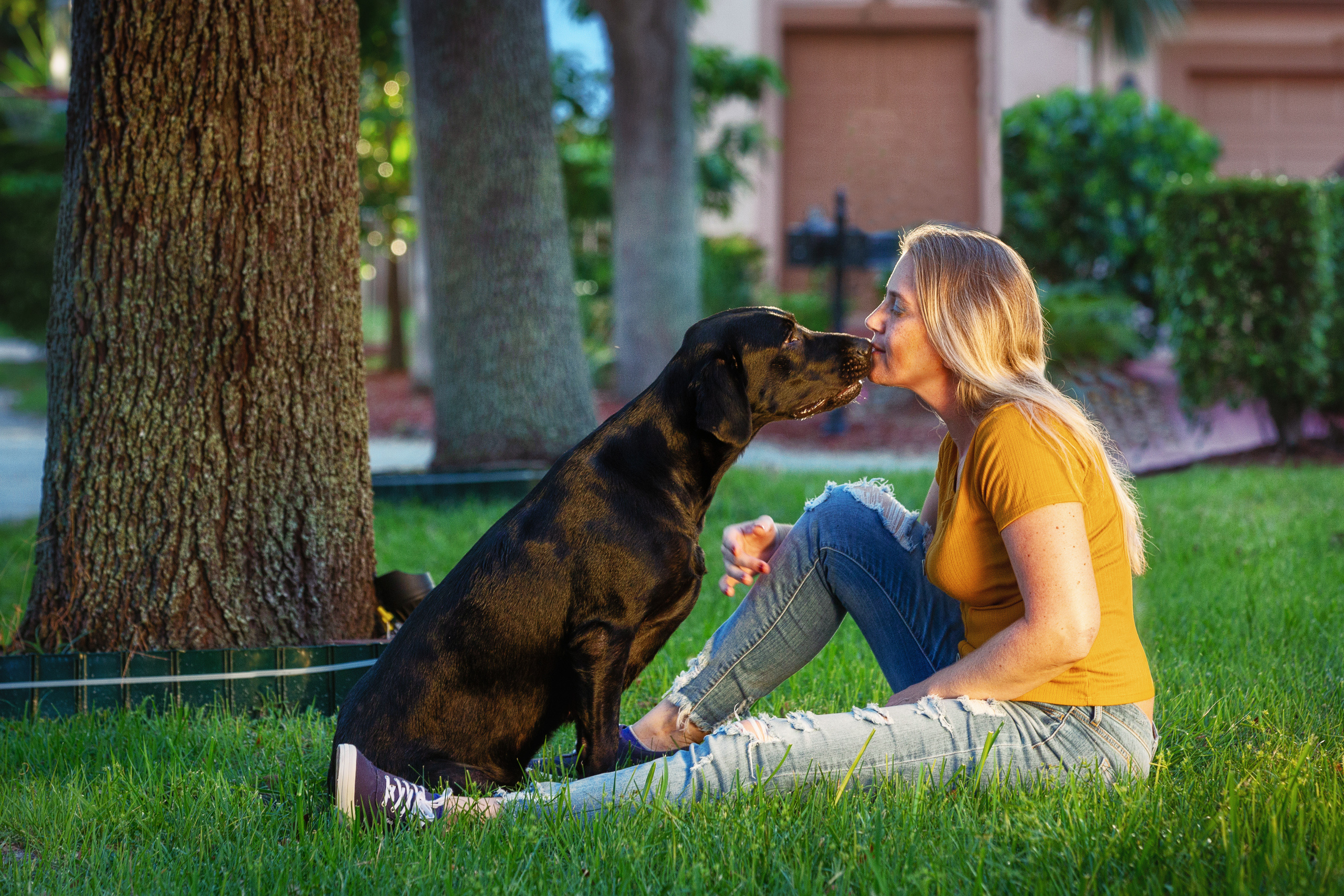 Pet Photography. Pet, Senior, Landscape, portrait studio, photographer in Miami and Sou