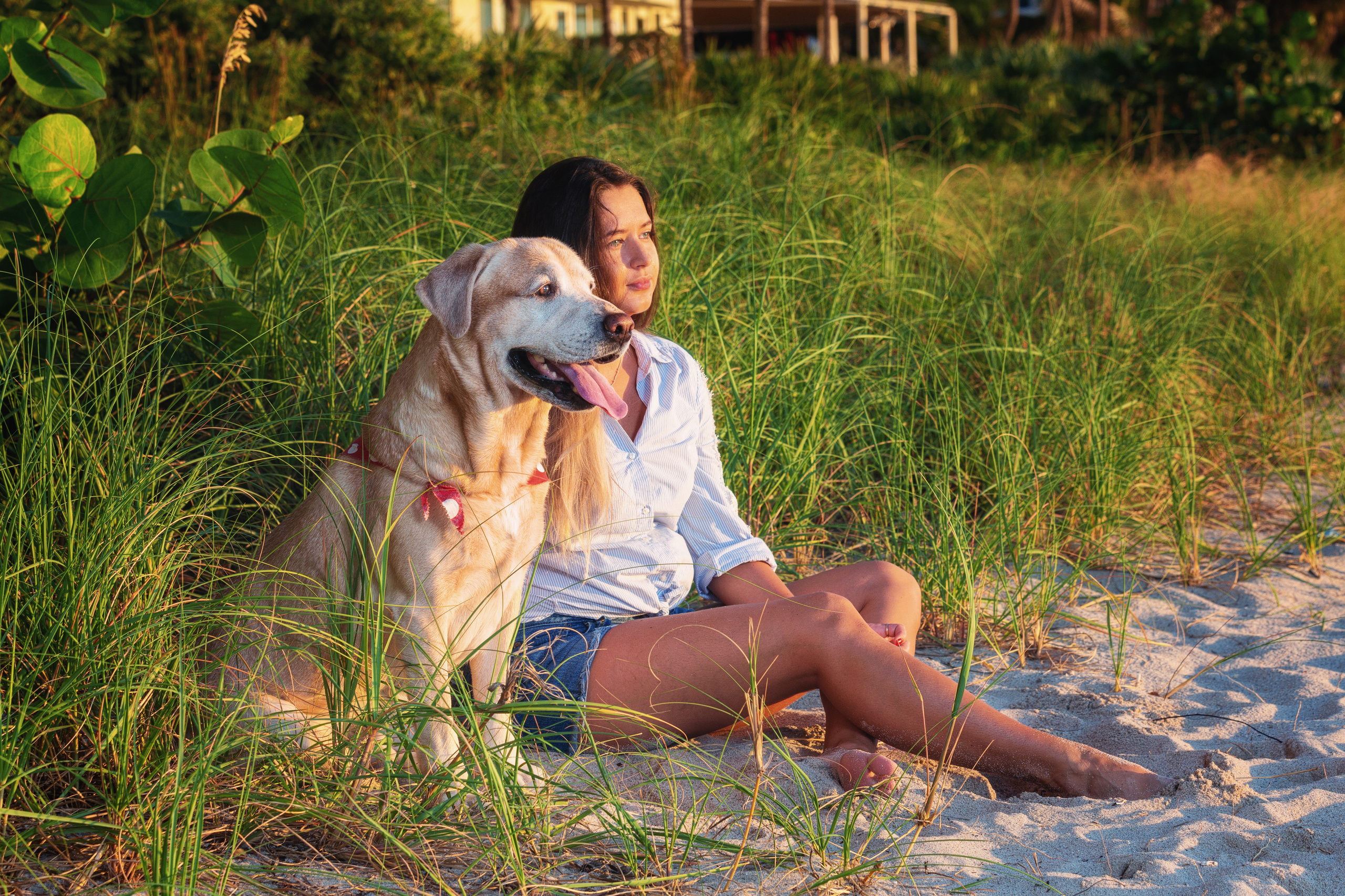 Pet Photography. Pet, Senior, Landscape, portrait studio, photographer in Miami and Sou