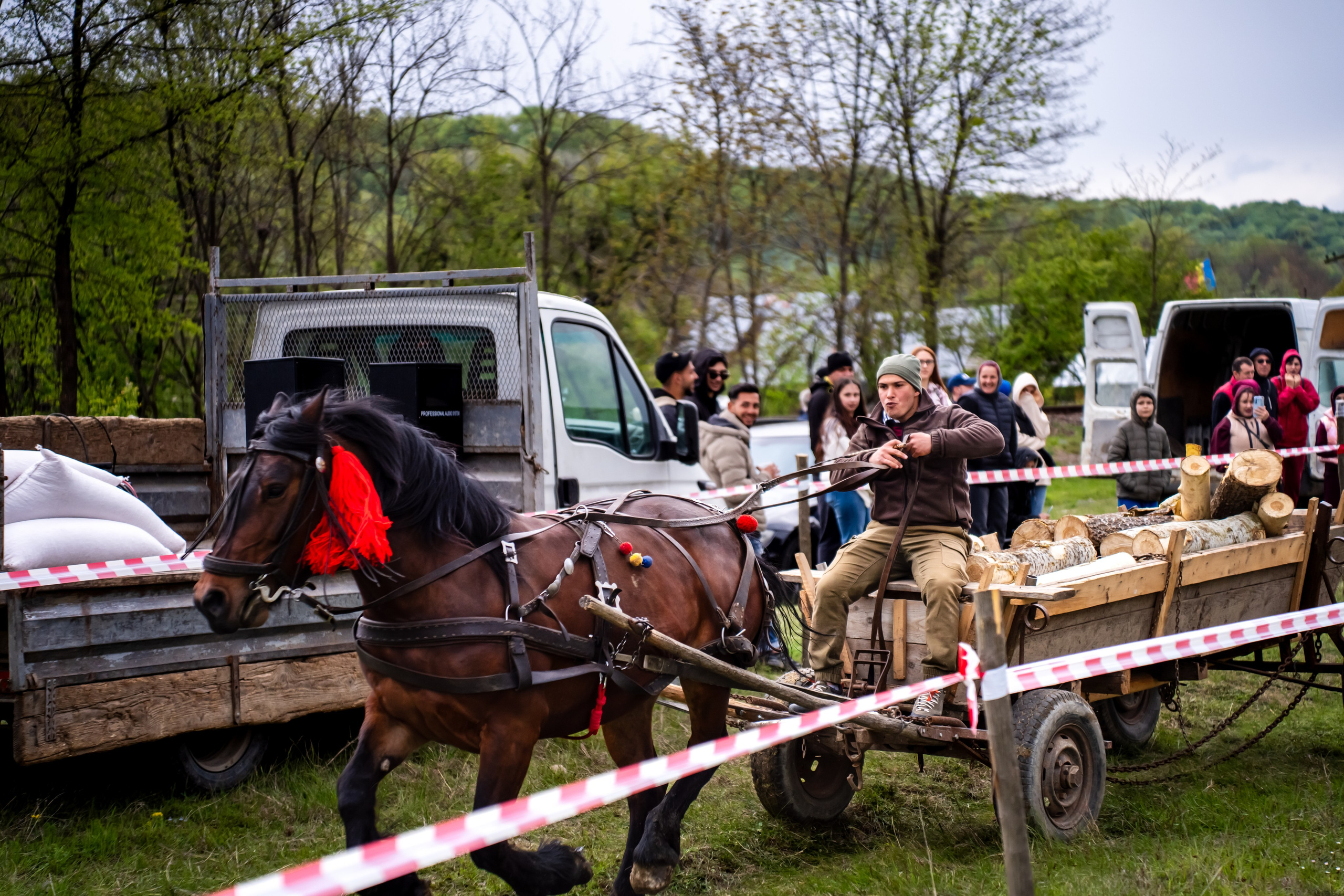 Concurs Ecvestru Vărbilău ediția a 4-a. Mihai Alexandra Events